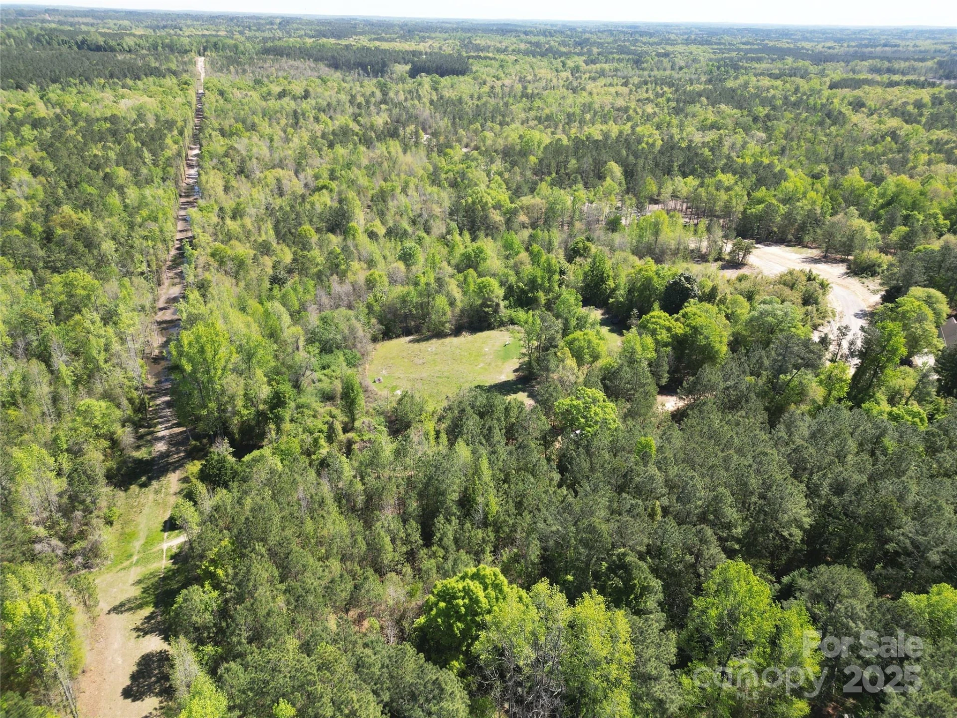 TBD Goldenrod Drive - Photo 24