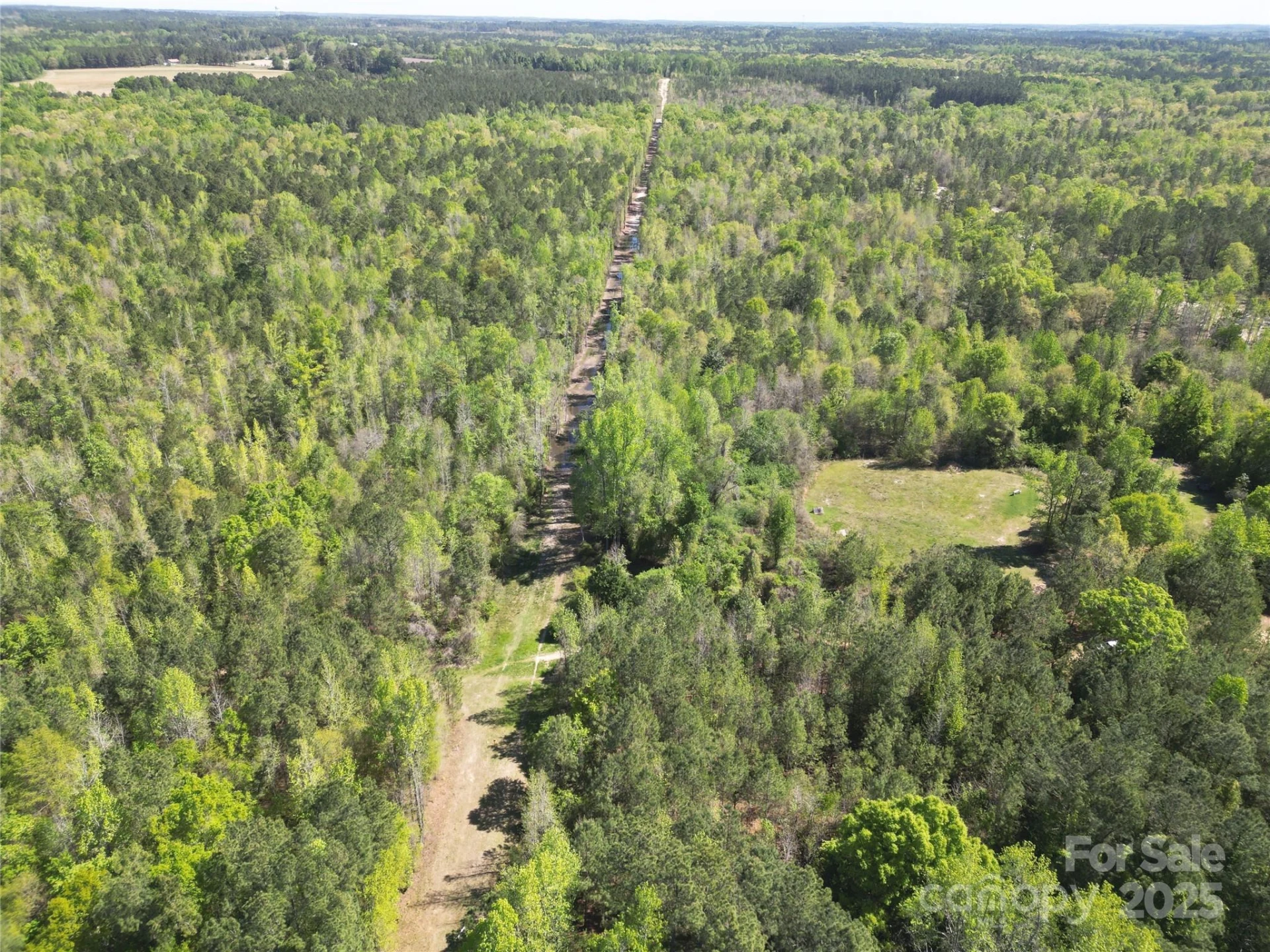 TBD Goldenrod Drive - Photo 25