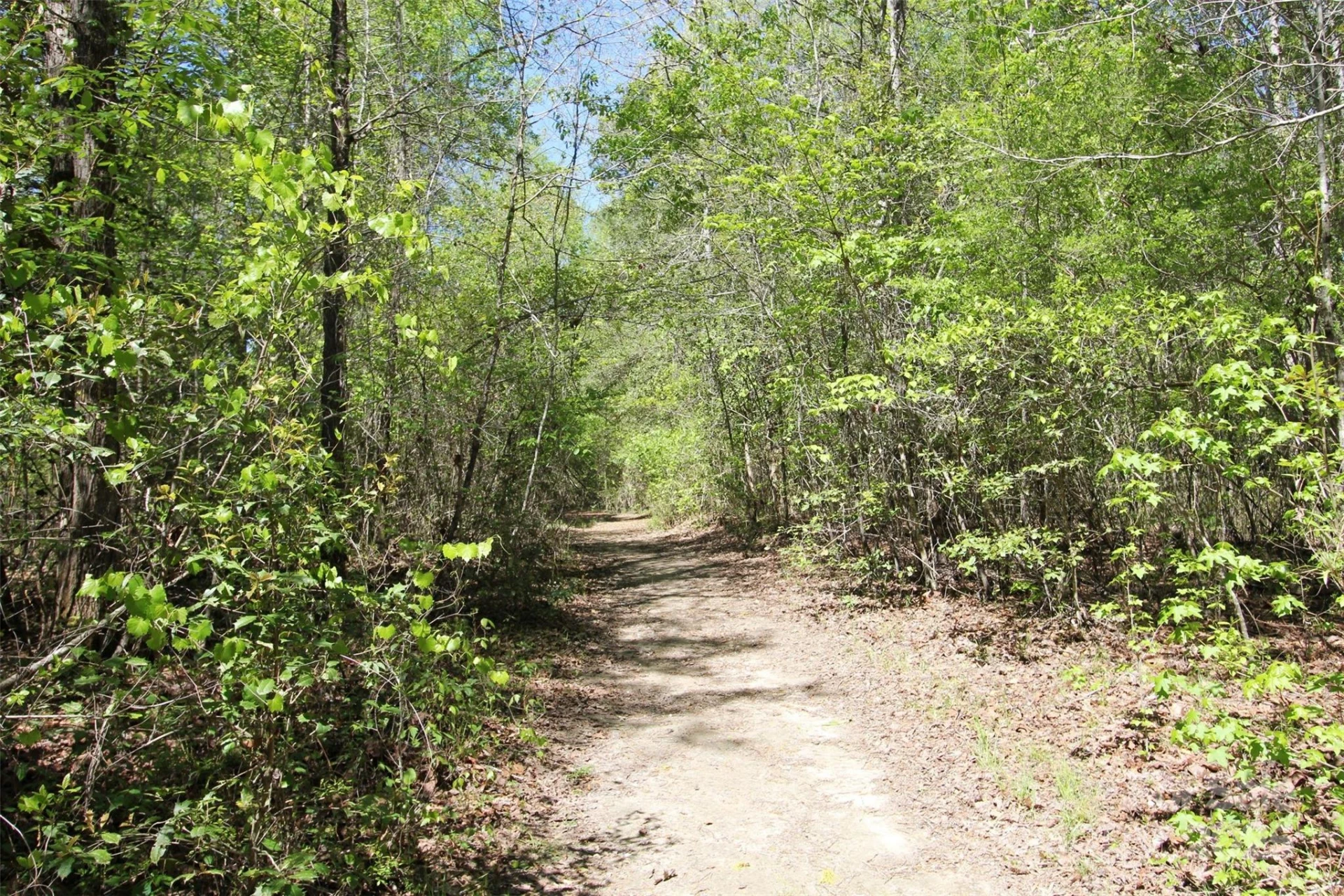 TBD Goldenrod Drive - Photo 26