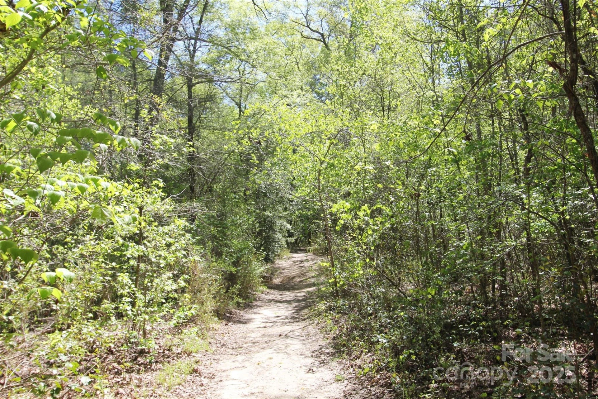 TBD Goldenrod Drive - Photo 27