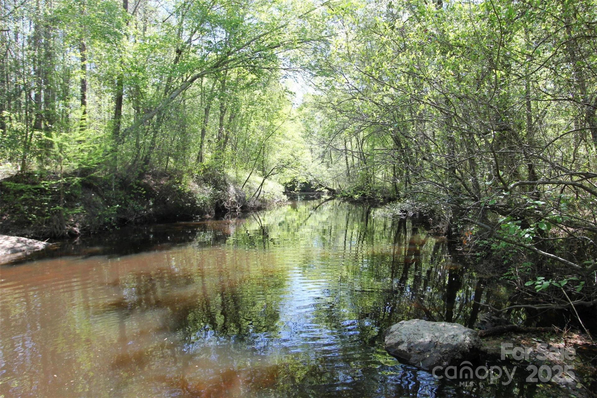 TBD Goldenrod Drive - Photo 29