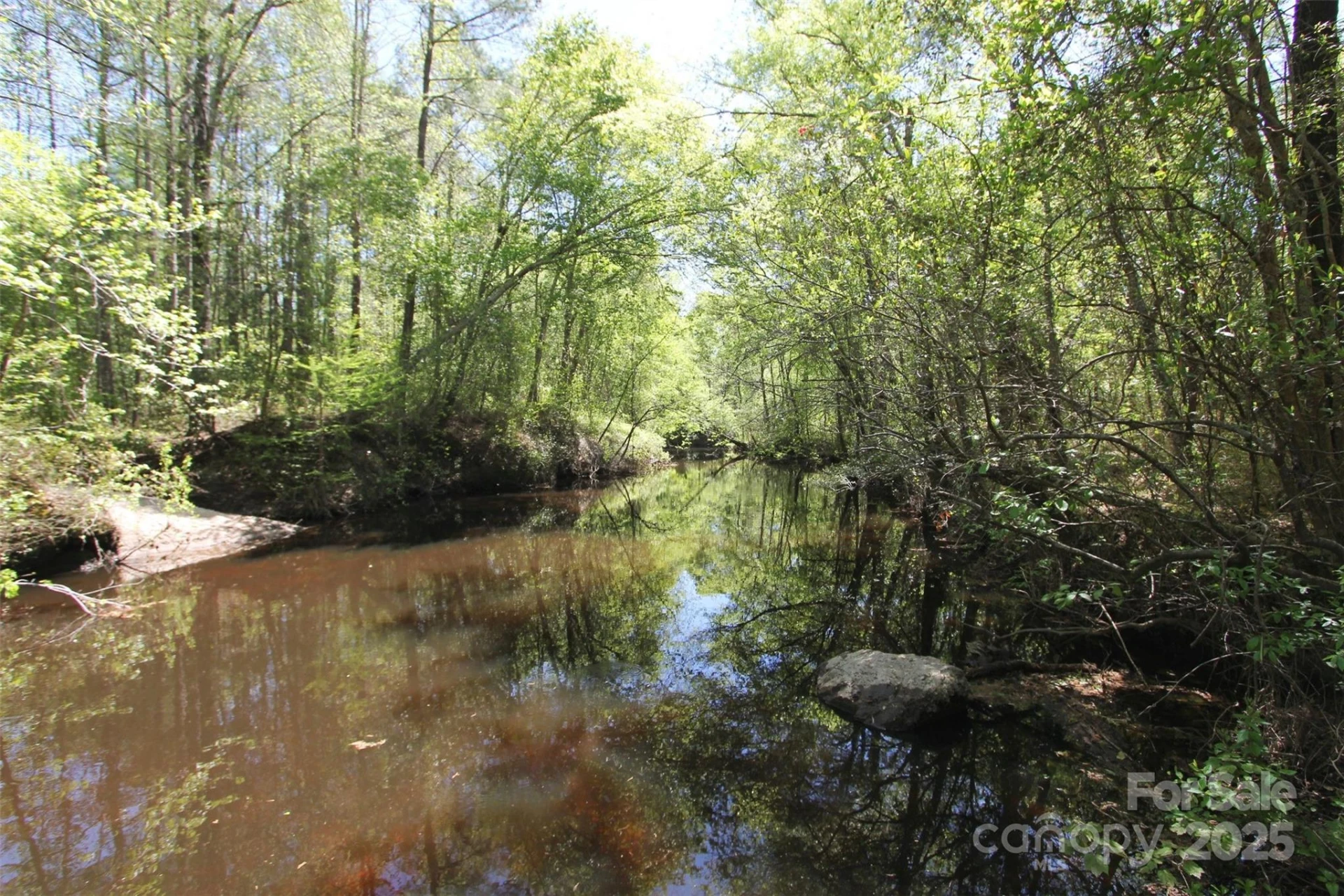 TBD Goldenrod Drive - Photo 30