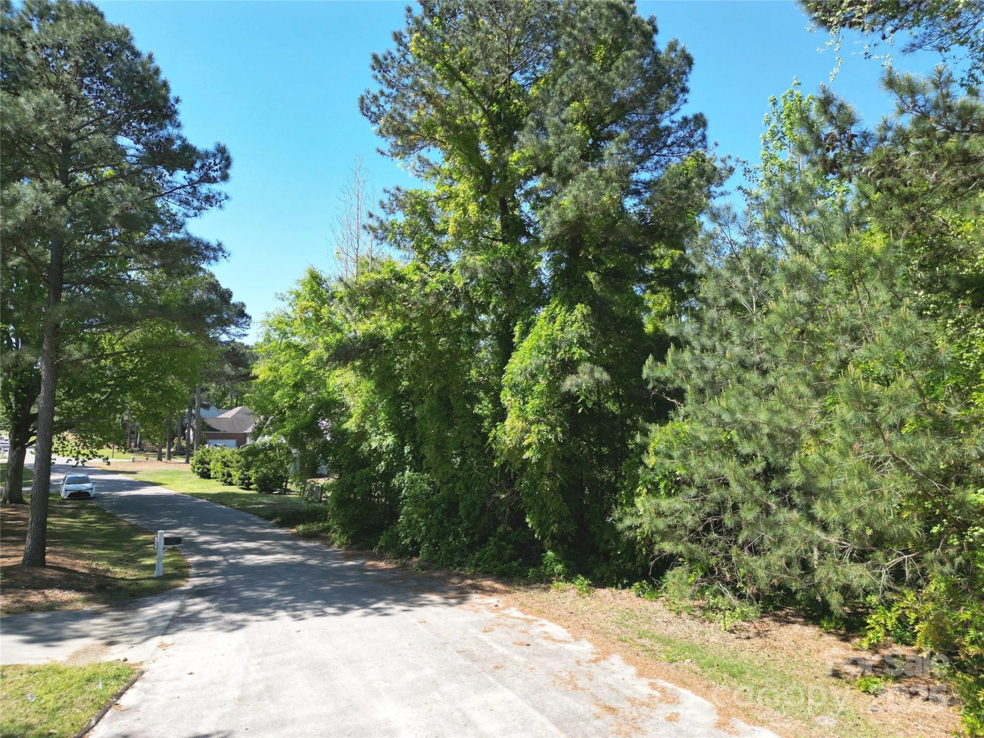 TBD Goldenrod Drive - Photo 4