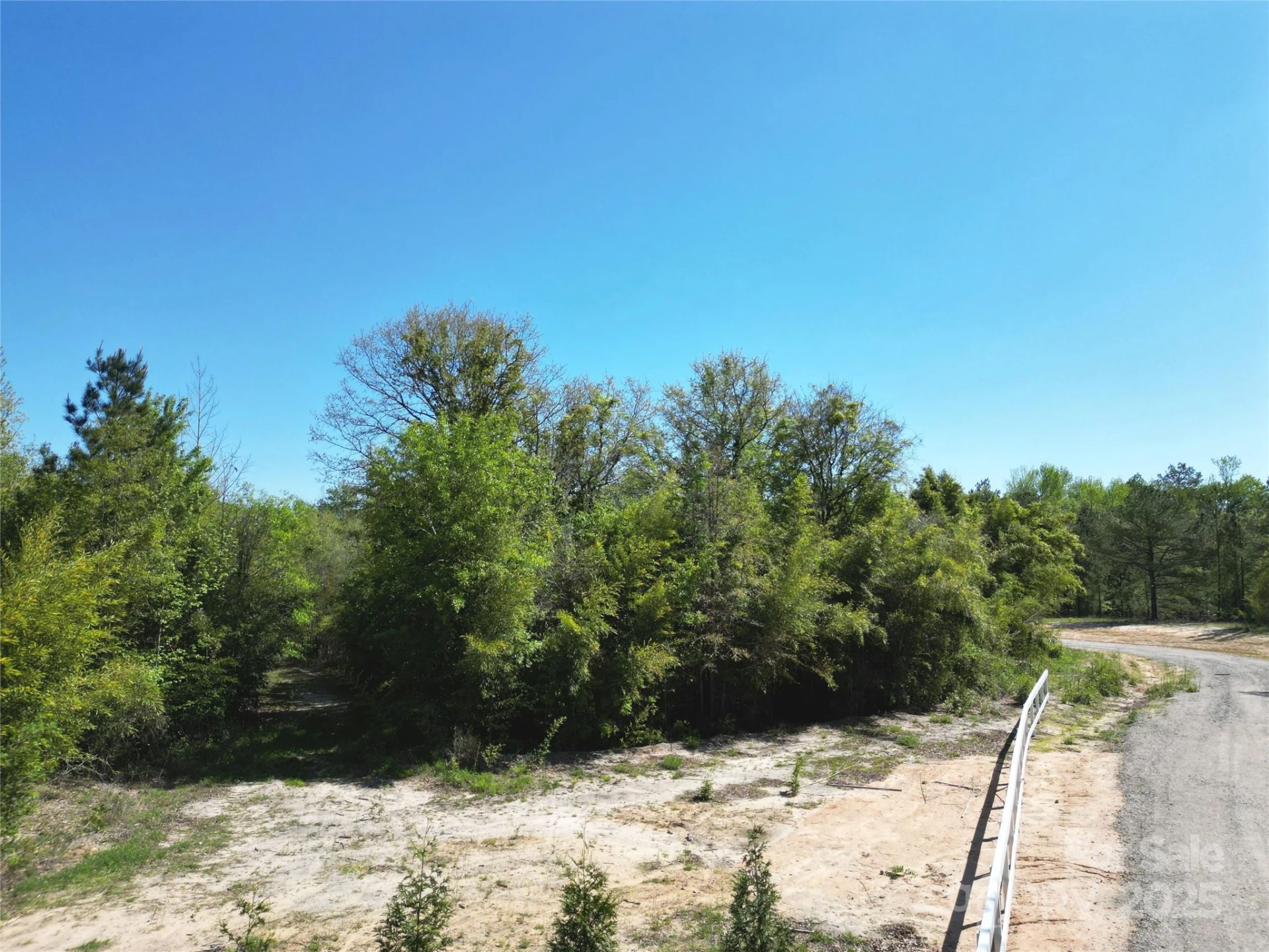 TBD Goldenrod Drive - Photo 6