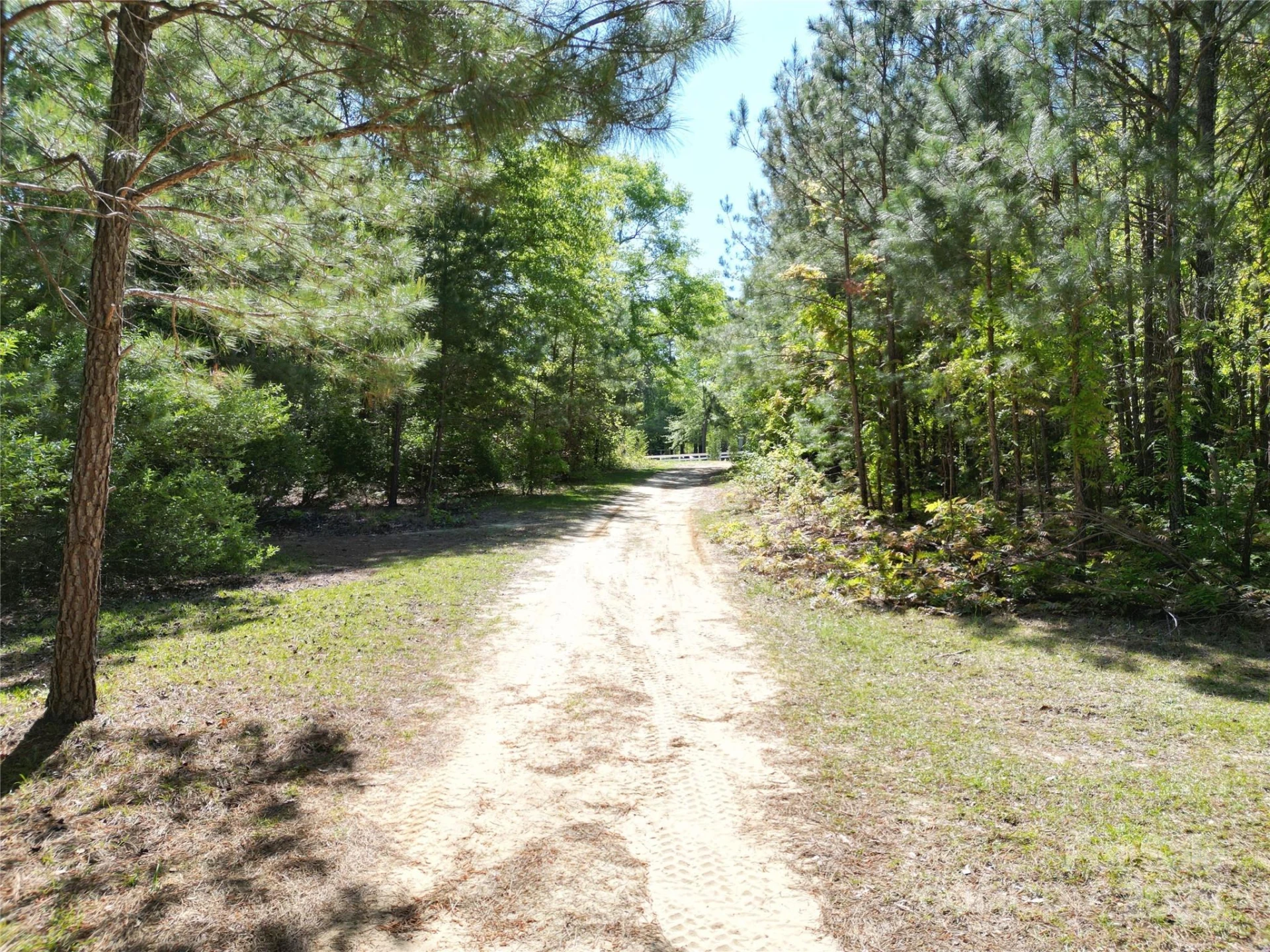 TBD Goldenrod Drive - Photo 7