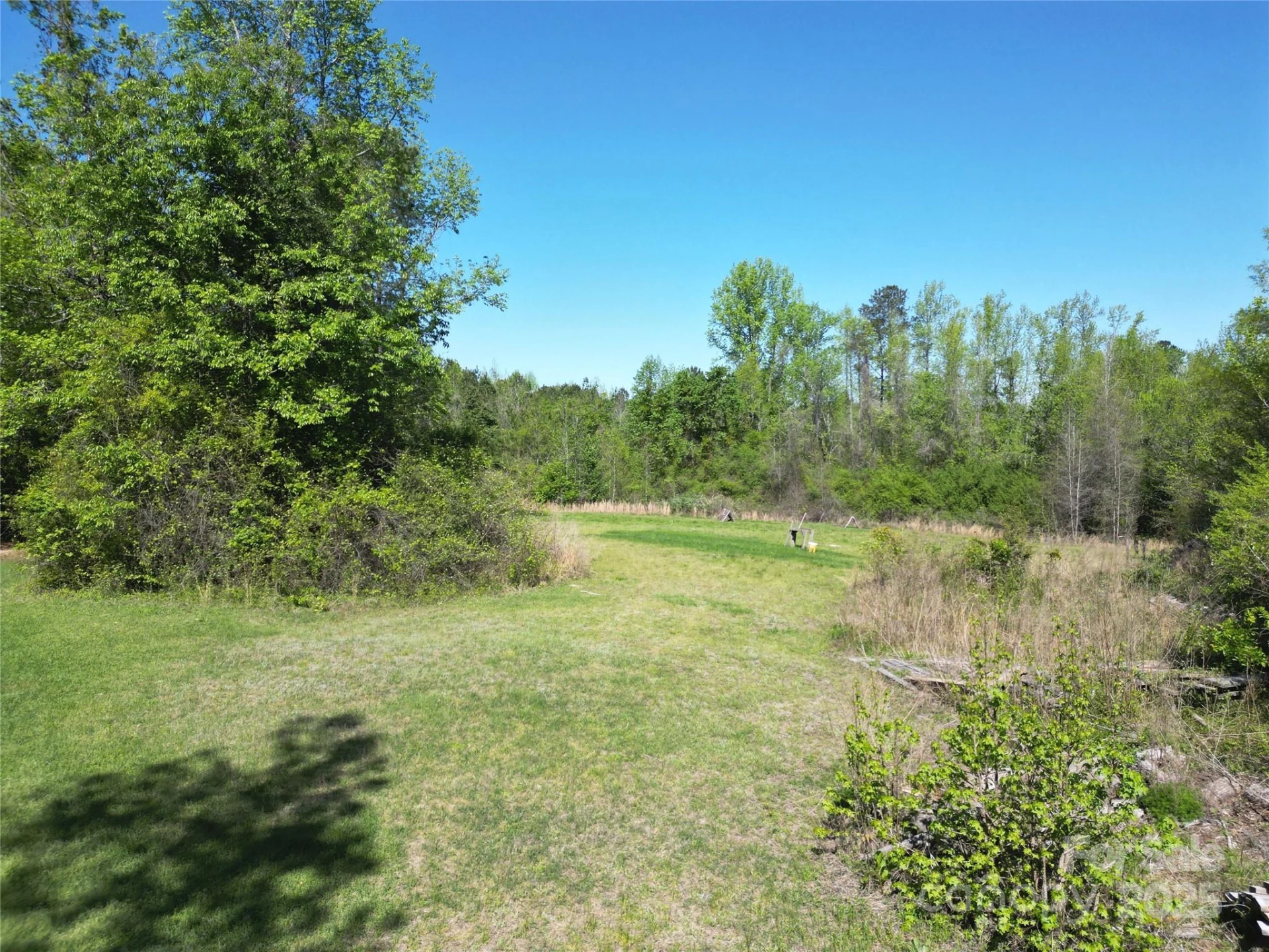 TBD Goldenrod Drive - Photo 9