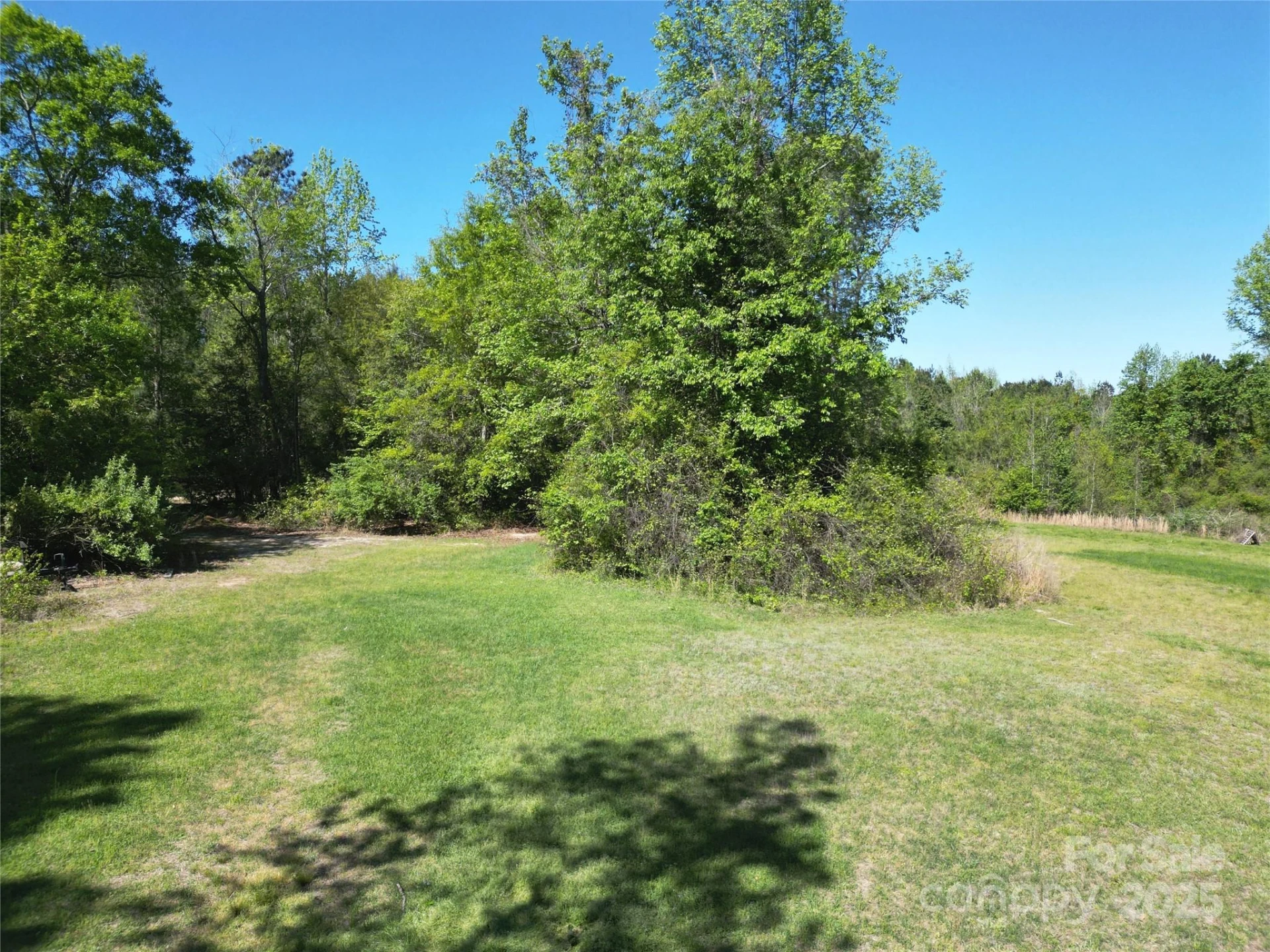 TBD Goldenrod Drive - Photo 10