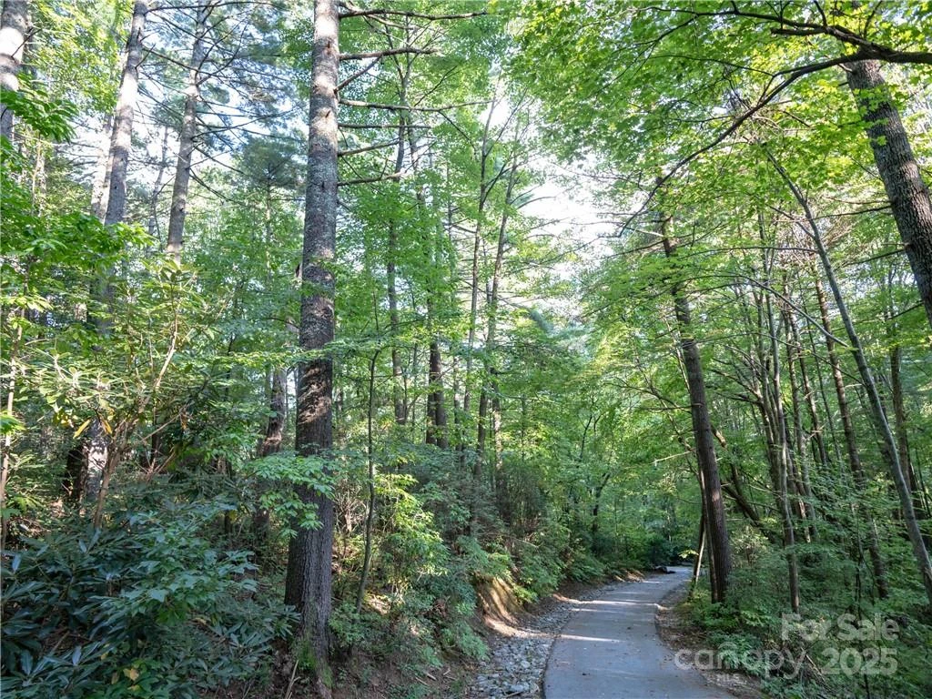 J 29 Cherokee Trace - Photo 20