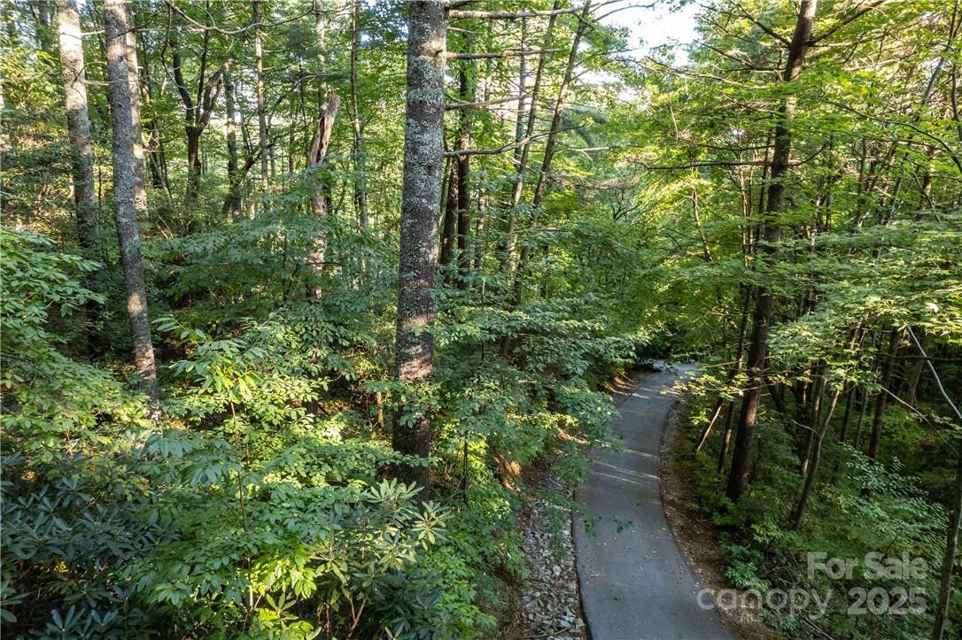 J 29 Cherokee Trace - Photo 7