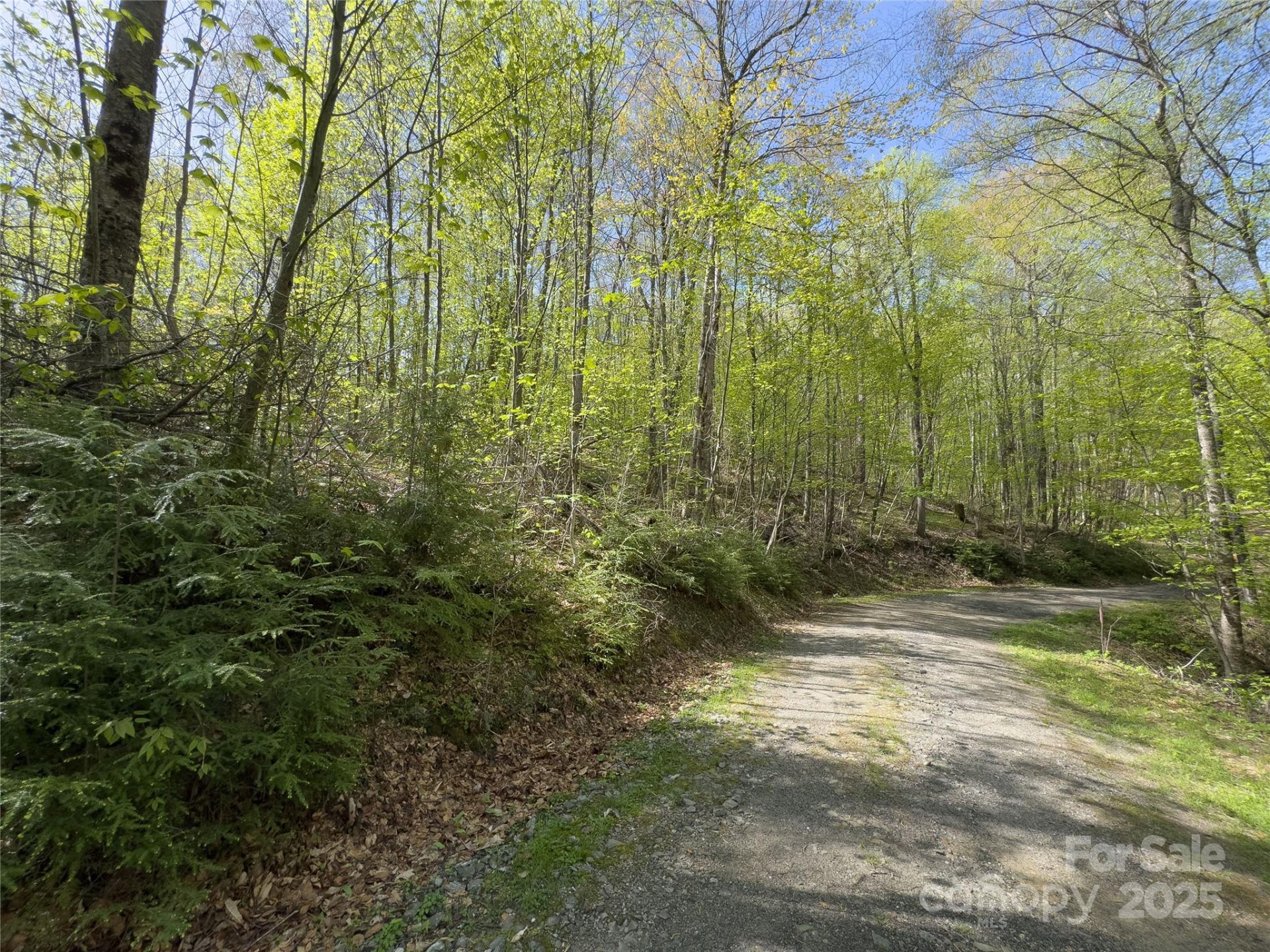 Lot 64 Big Springs Trail #64 - Photo 11