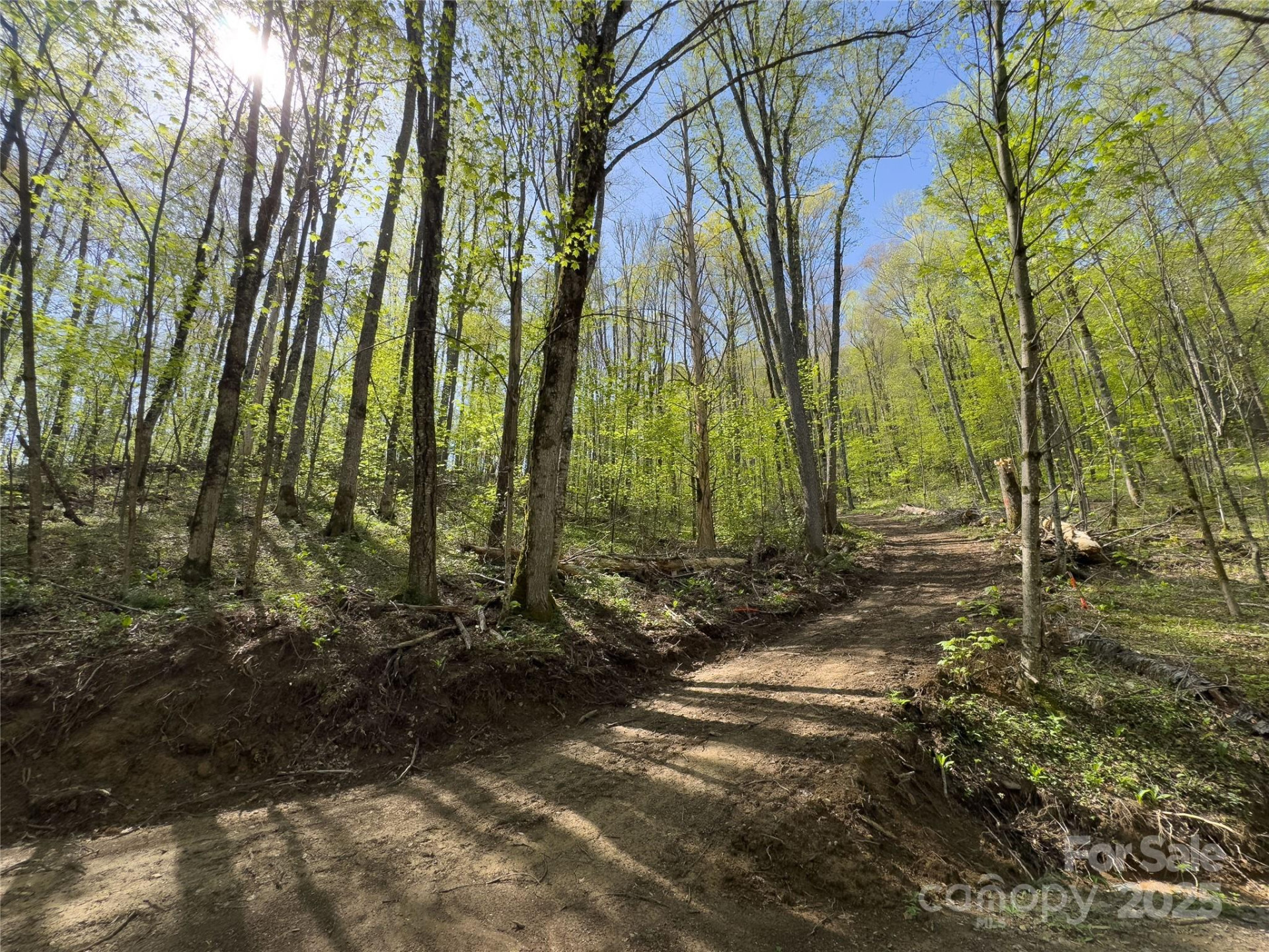 Lot 64 Big Springs Trail #64 - Photo 12