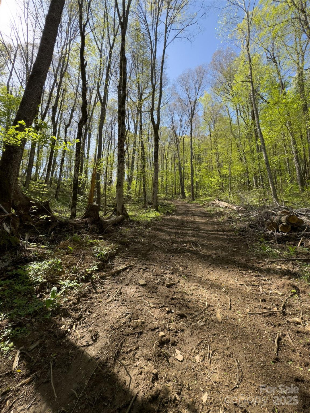 Lot 64 Big Springs Trail #64 - Photo 15