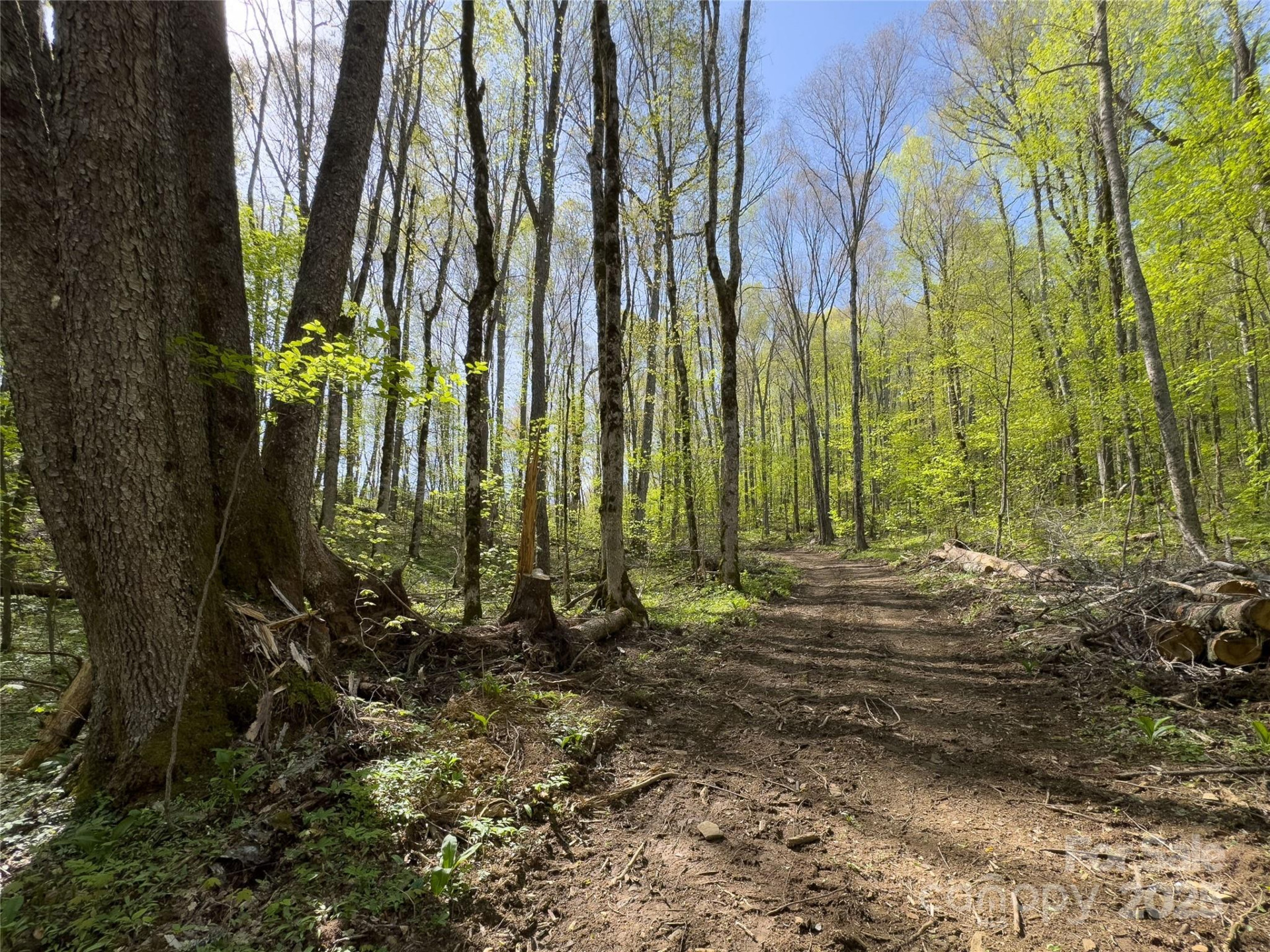 Lot 64 Big Springs Trail #64 - Photo 16