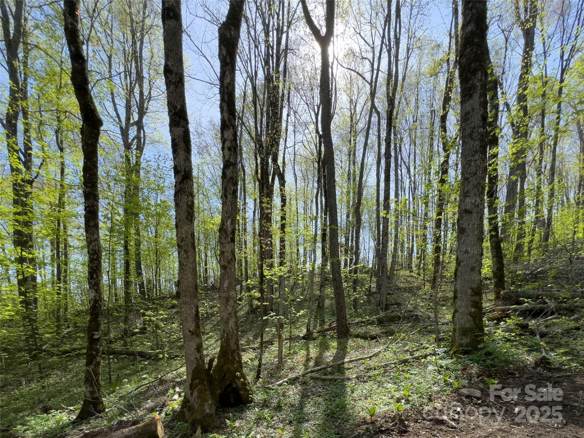 Lot 64 Big Springs Trail #64 - Photo 17