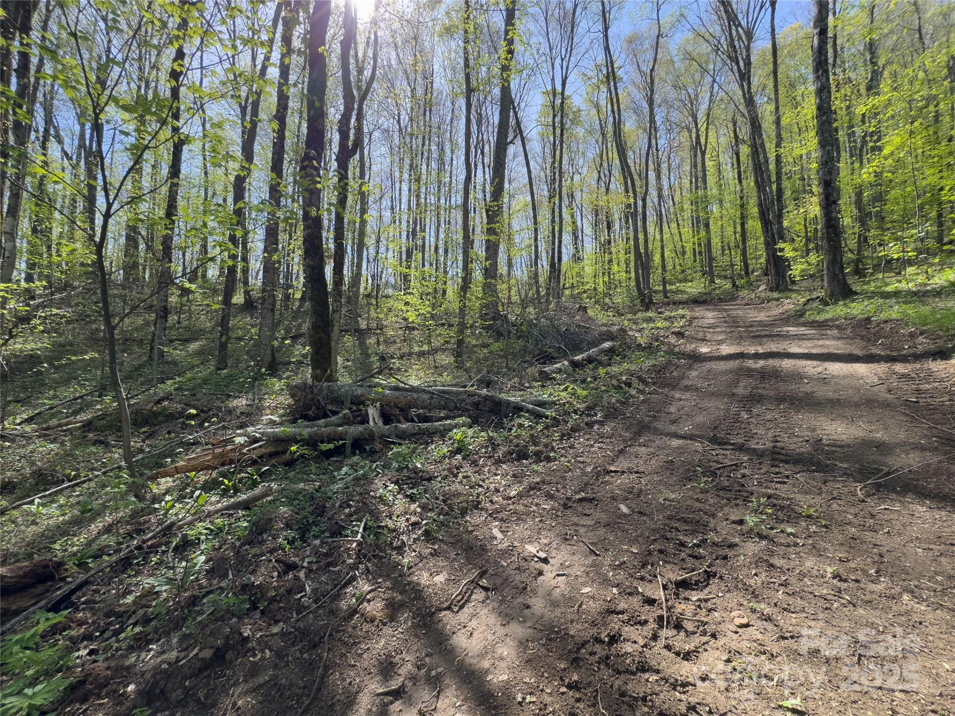 Lot 64 Big Springs Trail #64 - Photo 18