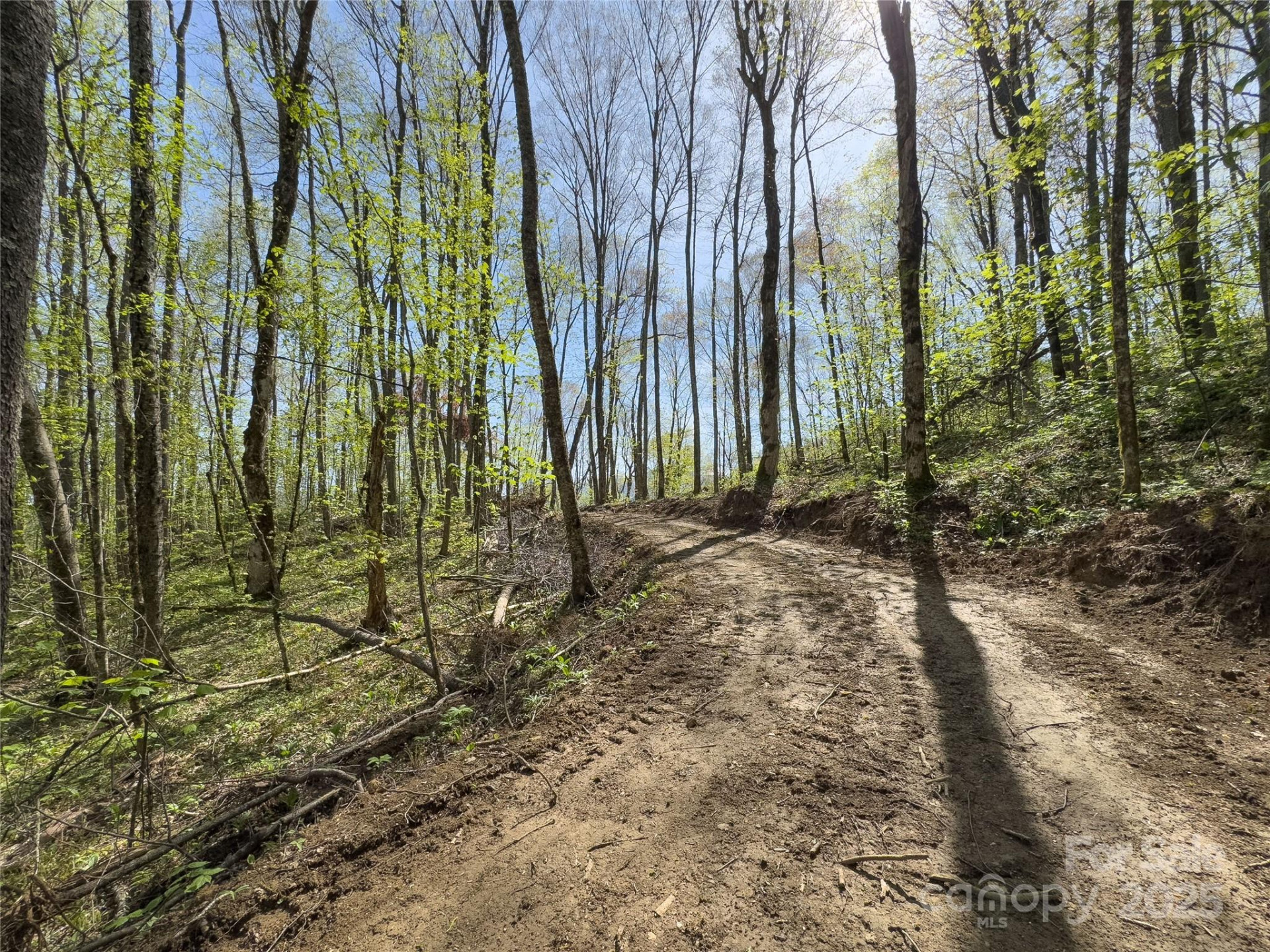 Lot 64 Big Springs Trail #64 - Photo 21