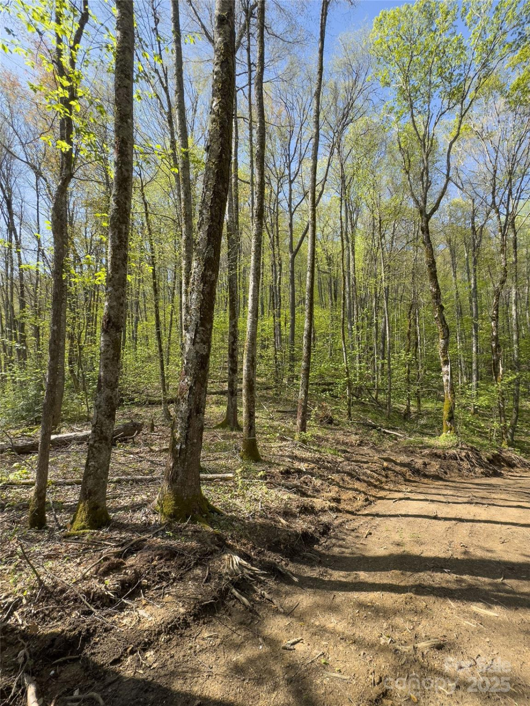 Lot 64 Big Springs Trail #64 - Photo 23