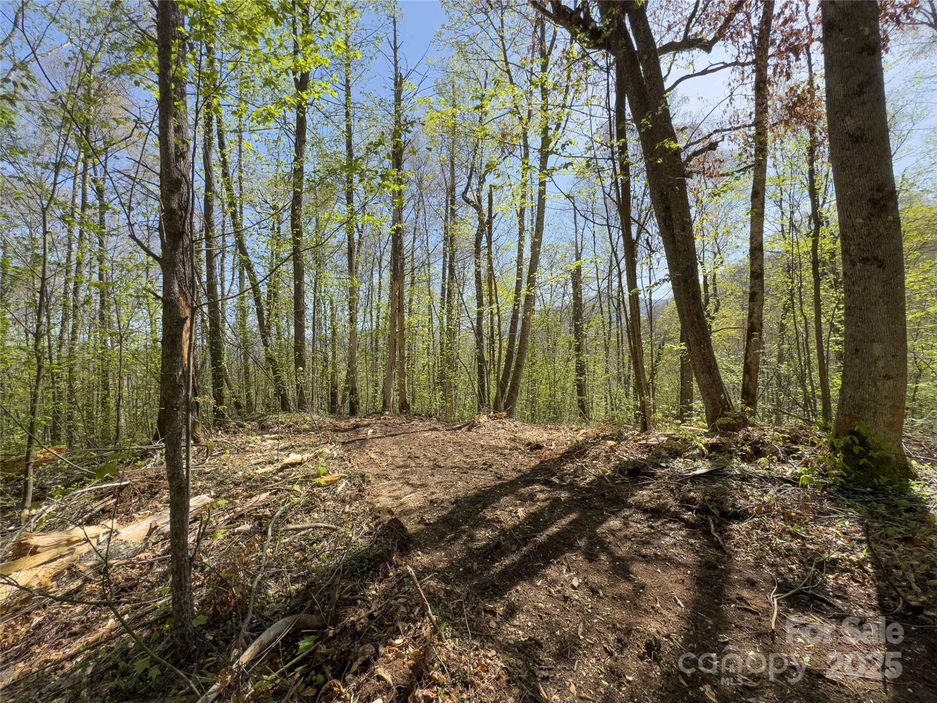 Lot 64 Big Springs Trail #64 - Photo 25