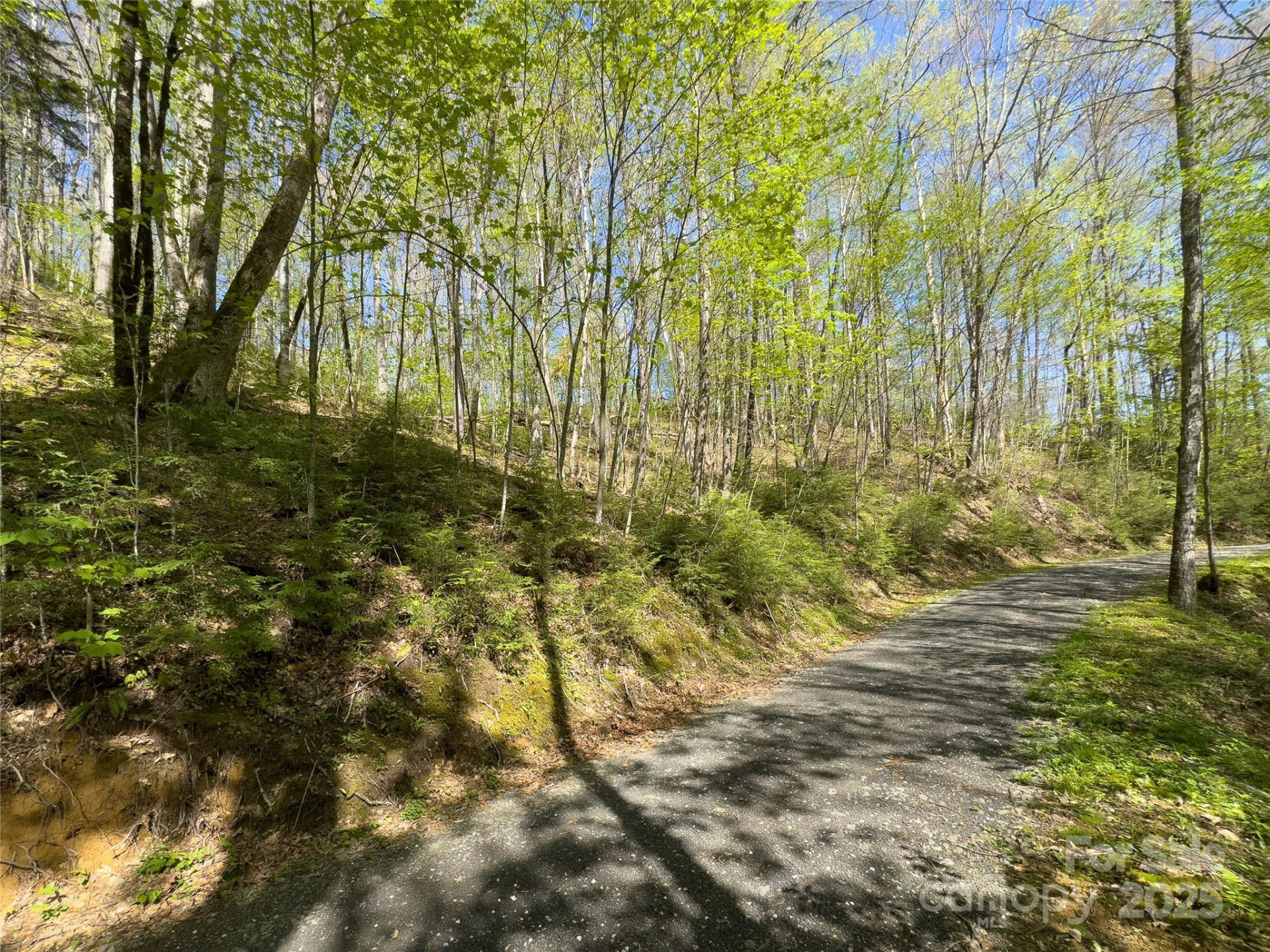 Lot 64 Big Springs Trail #64 - Photo 4