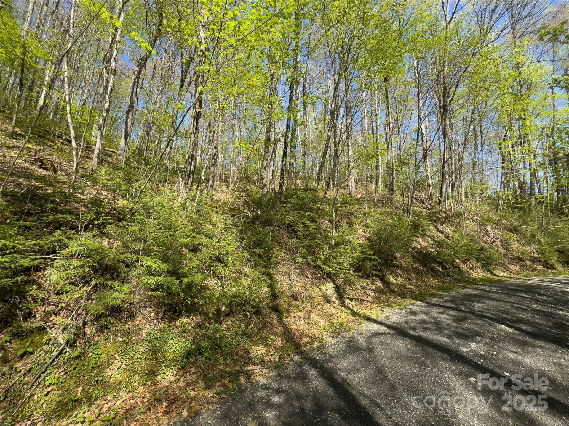 Lot 64 Big Springs Trail #64 - Photo 6