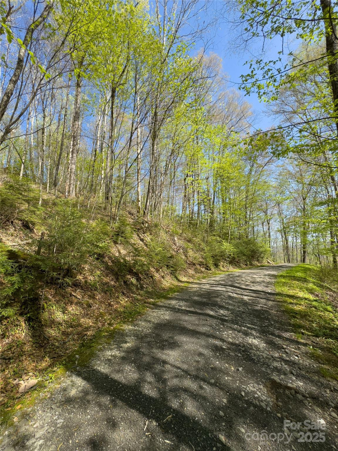 Lot 64 Big Springs Trail #64 - Photo 7