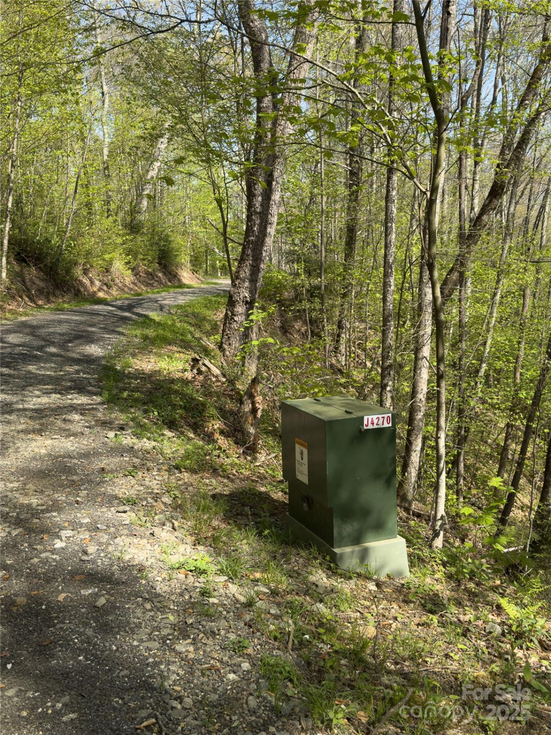 Lot 64 Big Springs Trail #64 - Photo 9