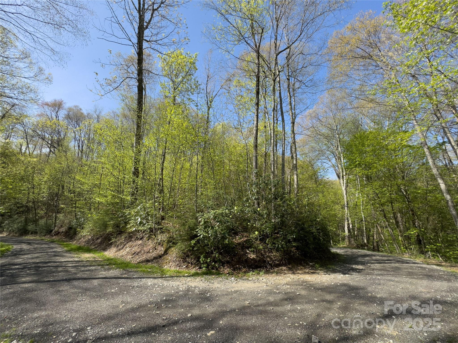 Lot 64 Big Springs Trail #64 - Photo 10