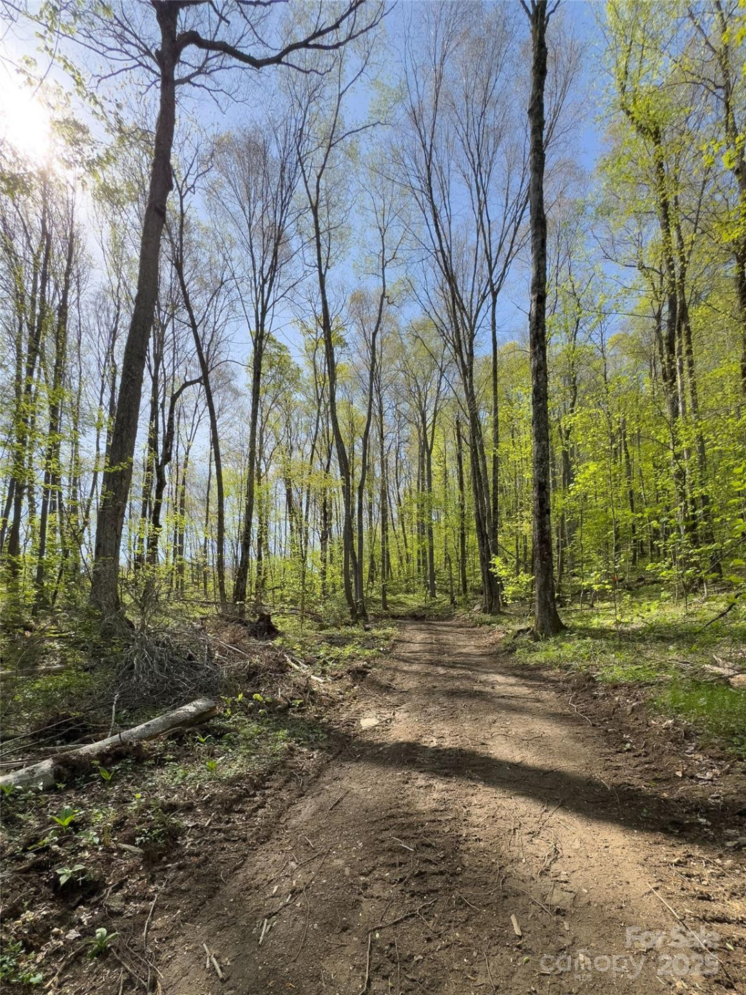 Lot 64/65 Big Springs Trail #64/65 - Photo 15