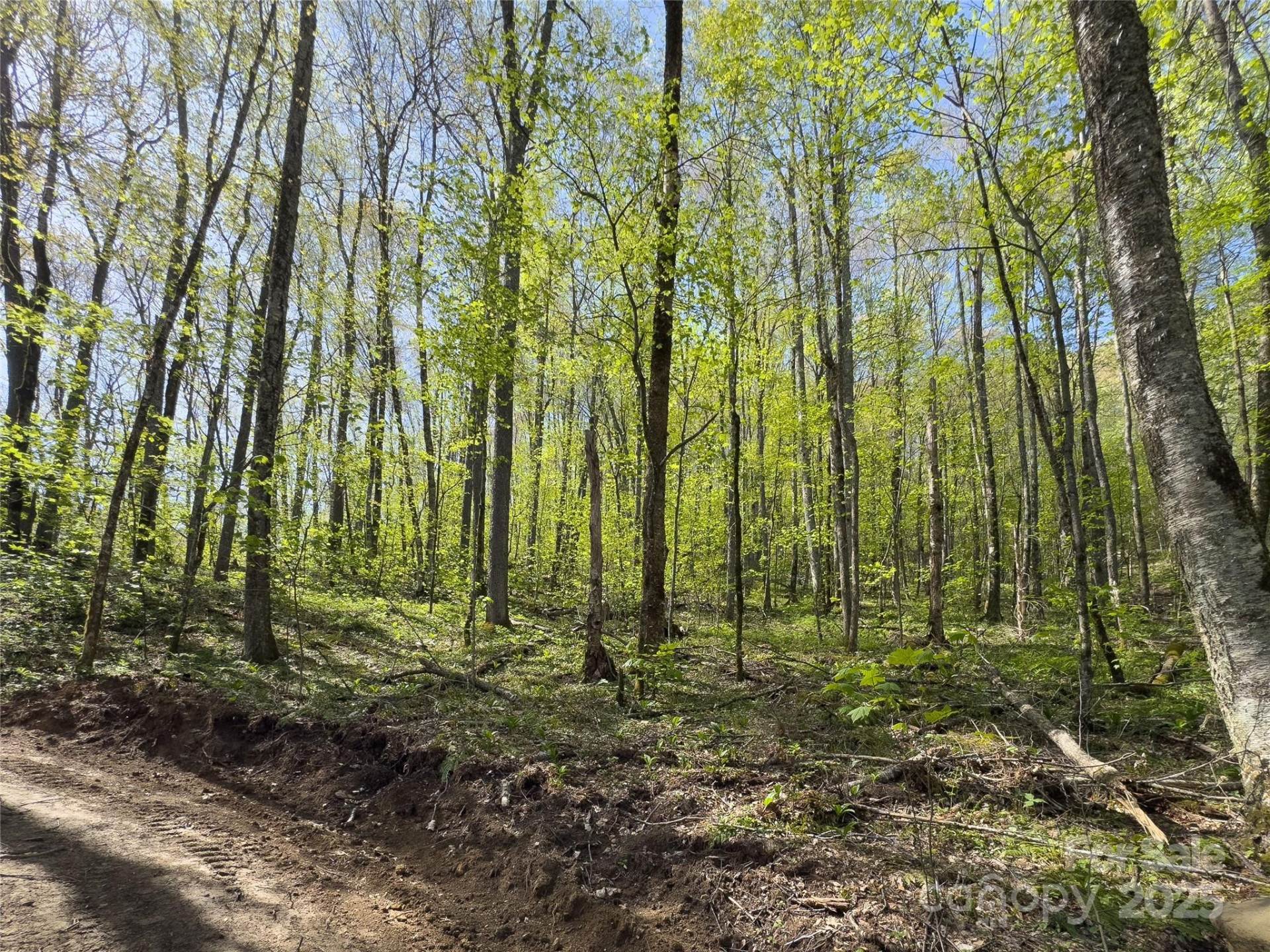 Lot 64/65 Big Springs Trail #64/65 - Photo 16