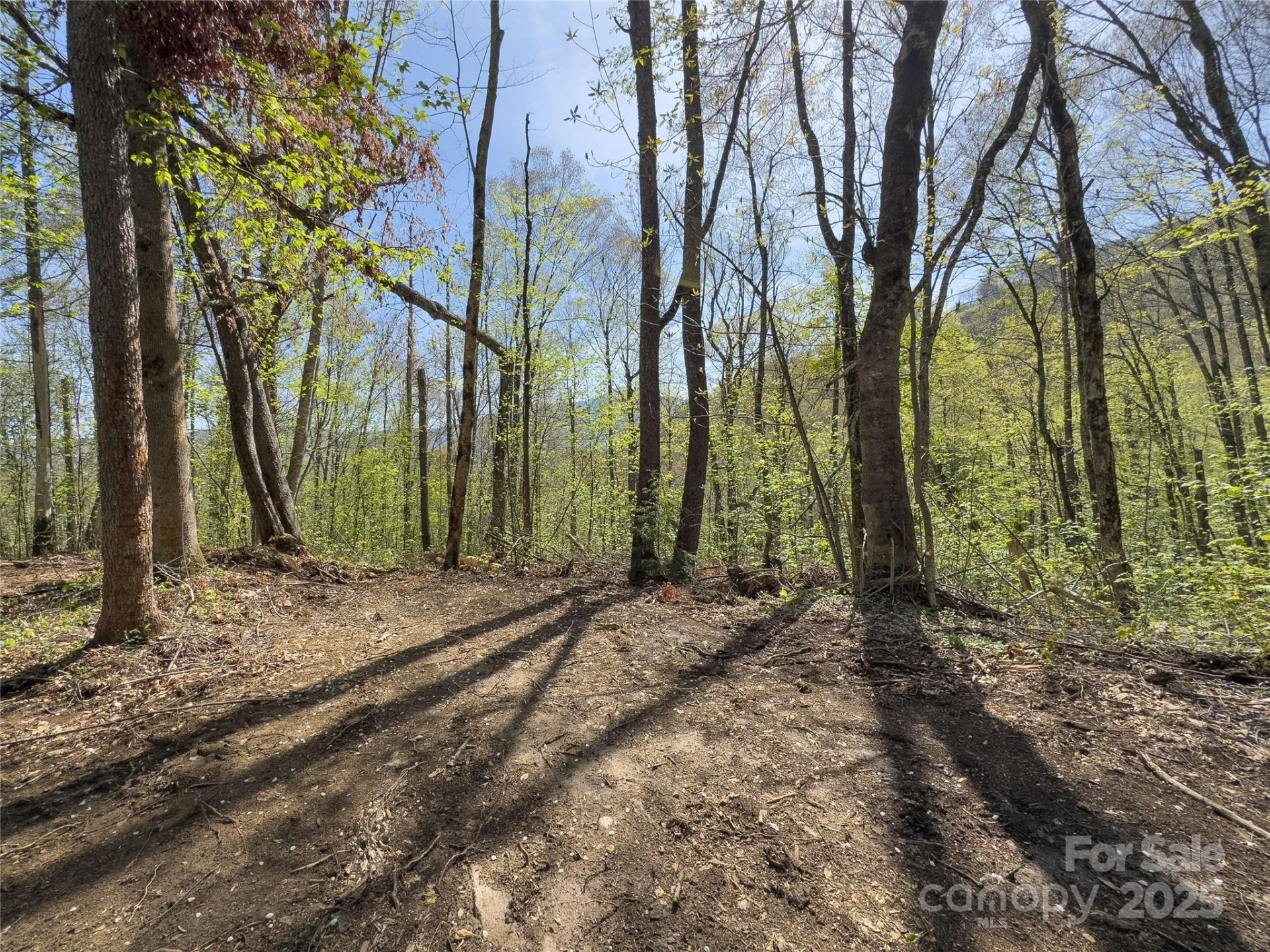 Lot 64/65 Big Springs Trail #64/65 - Photo 18