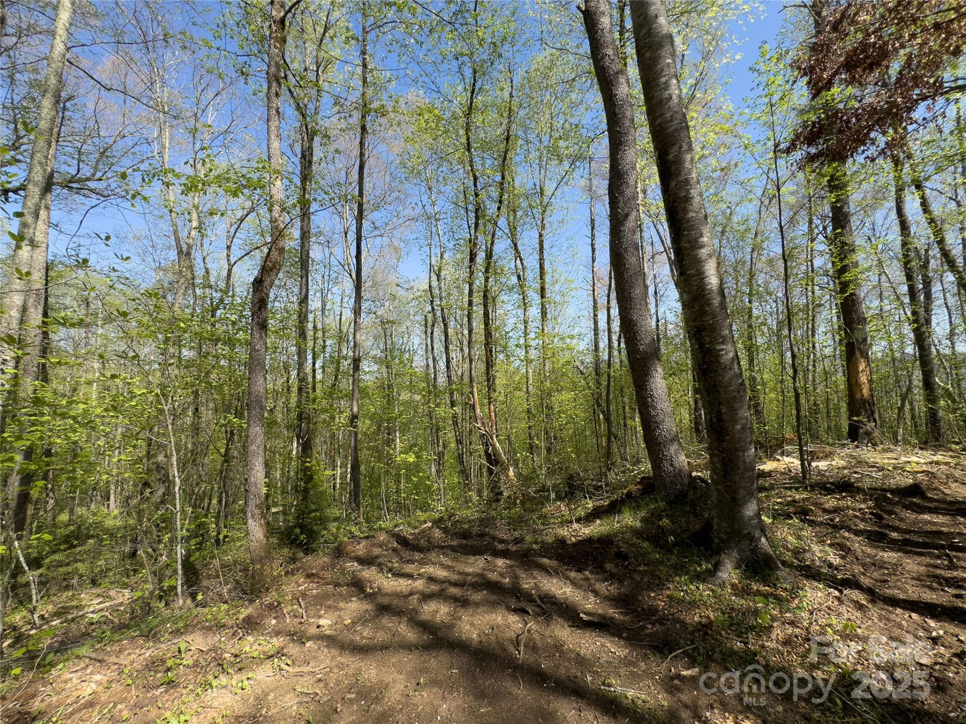 Lot 64/65 Big Springs Trail #64/65 - Photo 20