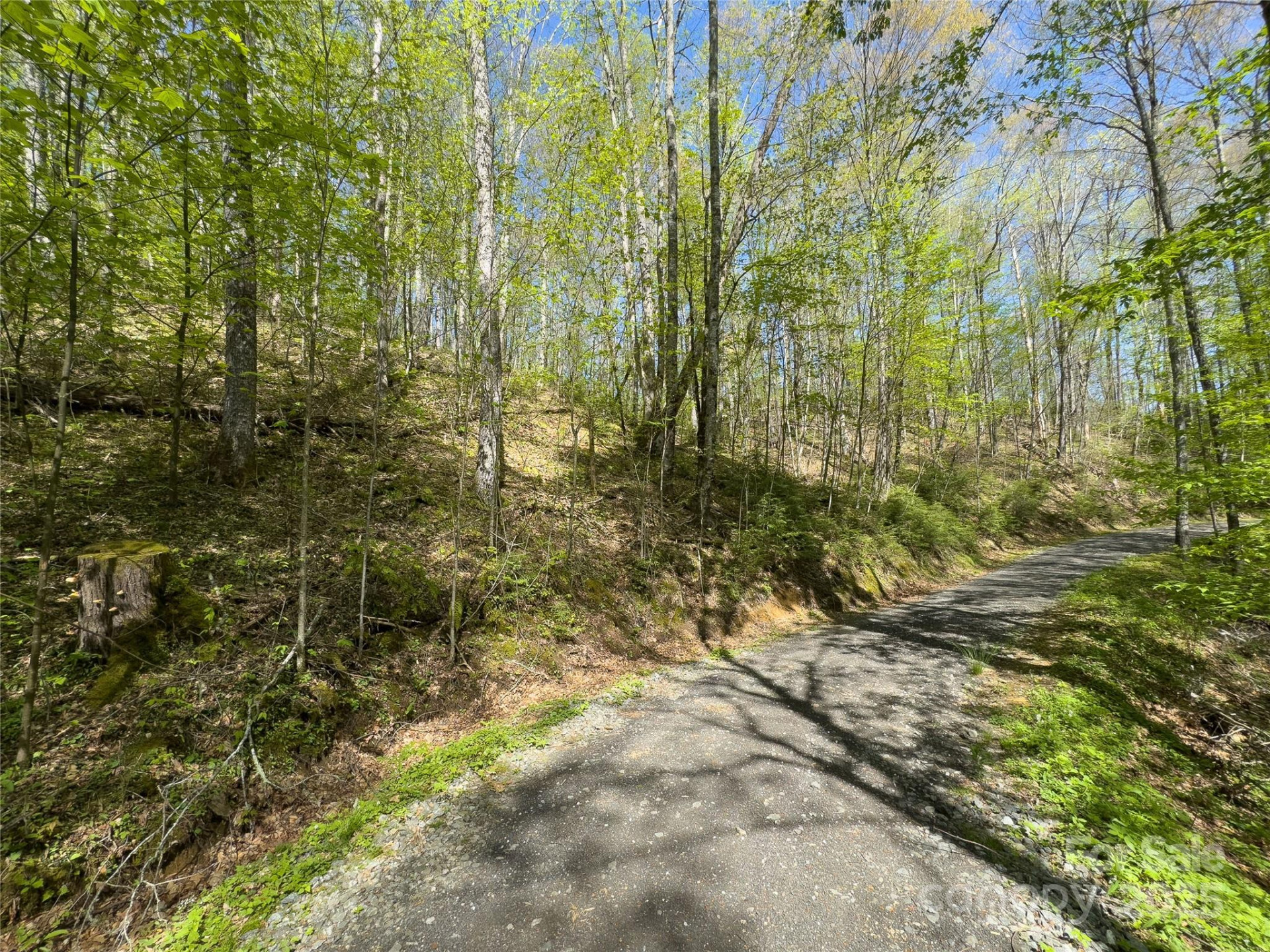 Lot 64/65 Big Springs Trail #64/65 - Photo 3