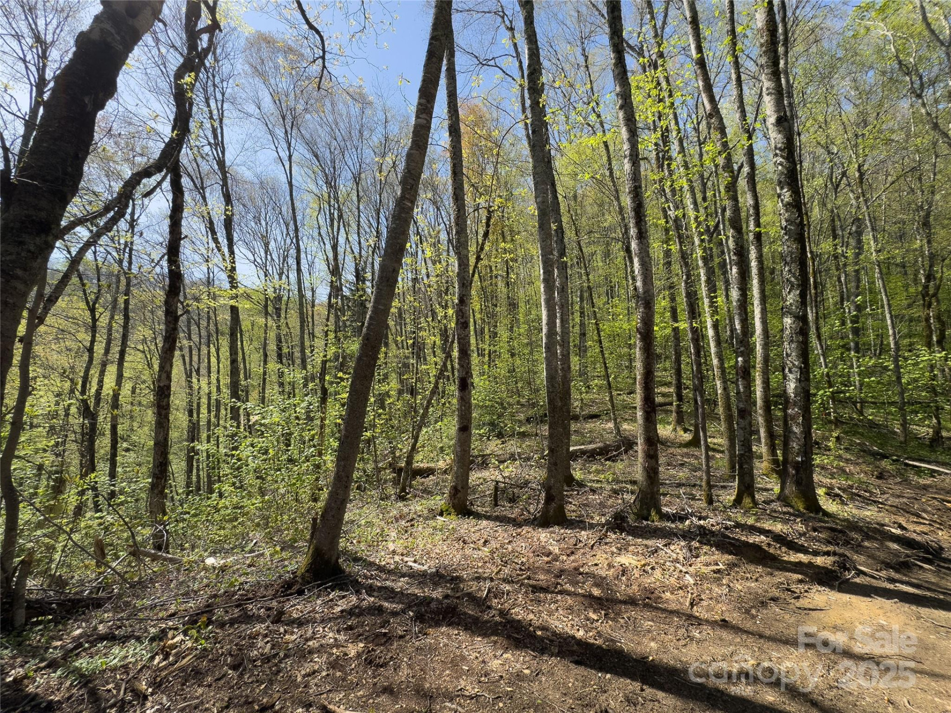 Lot 64/65 Big Springs Trail #64/65 - Photo 22