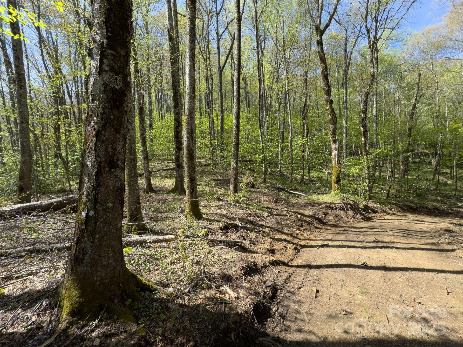 Lot 64/65 Big Springs Trail #64/65 - Photo 24