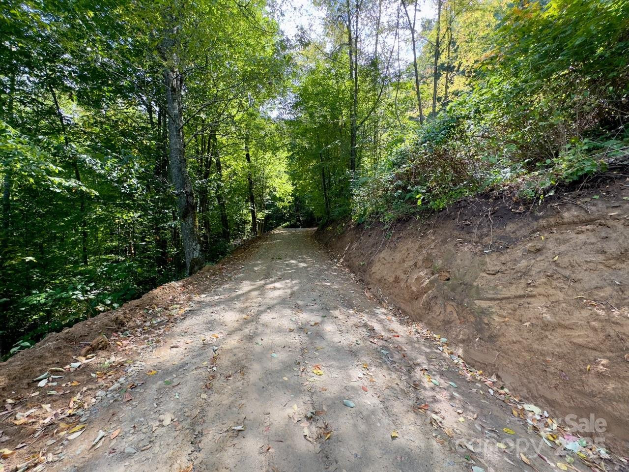 Lot 64/65 Big Springs Trail #64/65 - Photo 31