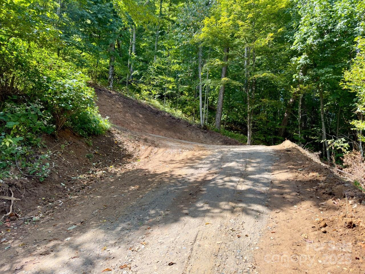 Lot 64/65 Big Springs Trail #64/65 - Photo 32