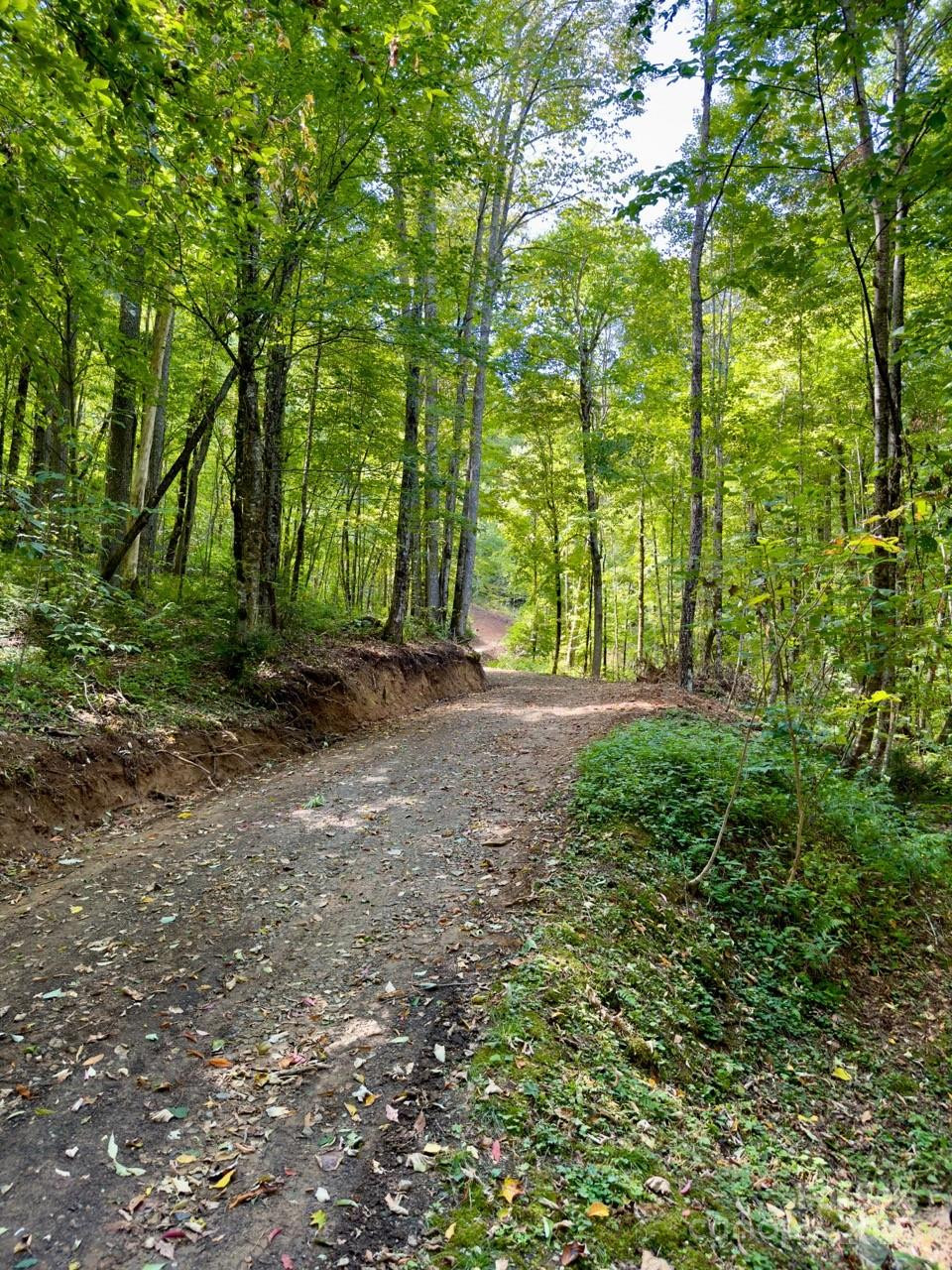 Lot 64/65 Big Springs Trail #64/65 - Photo 34