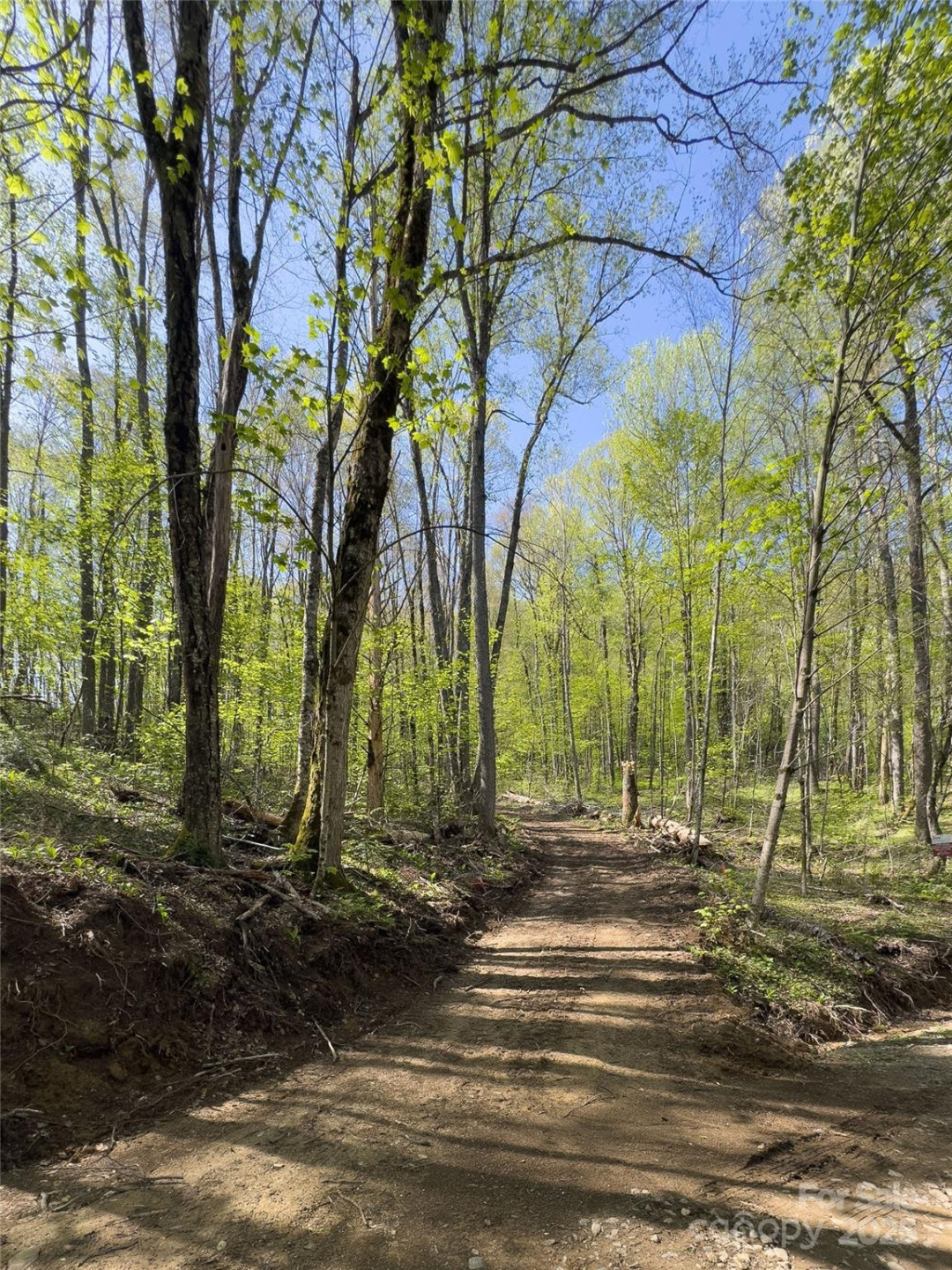 Lot 64/65 Big Springs Trail #64/65 - Photo 9