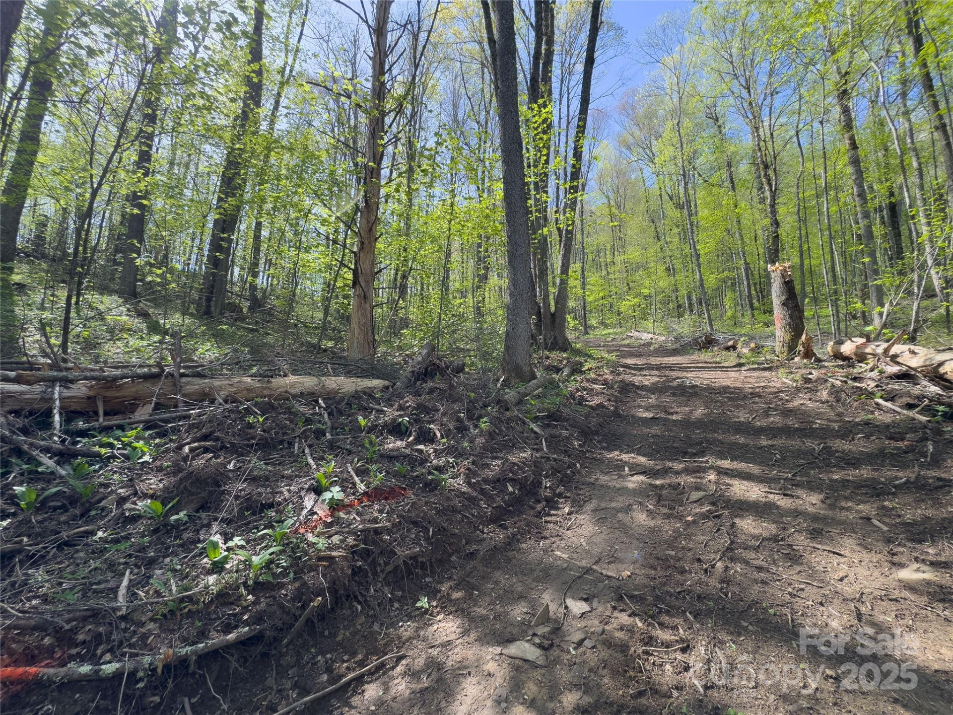 Lot 64/65 Big Springs Trail #64/65 - Photo 10