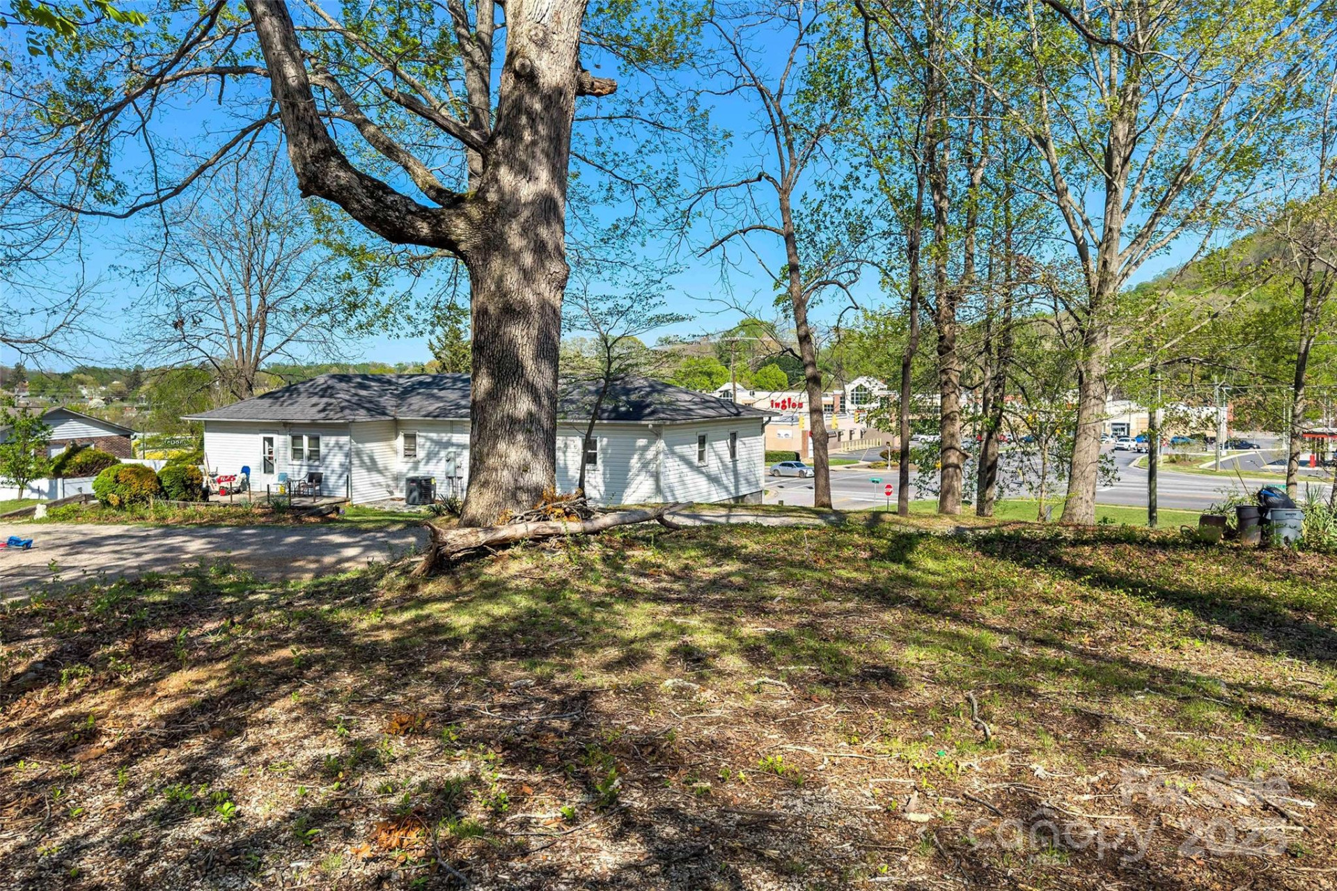 36 & 50 Catawba Avenue - Photo 6