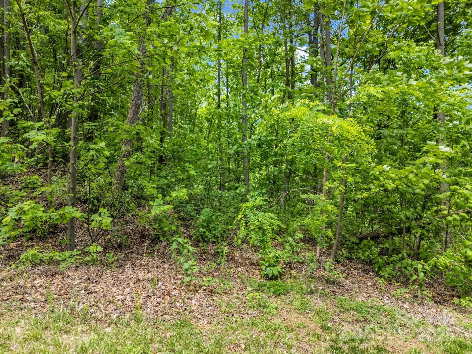0 Ragans Pointe #31 - Photo 2