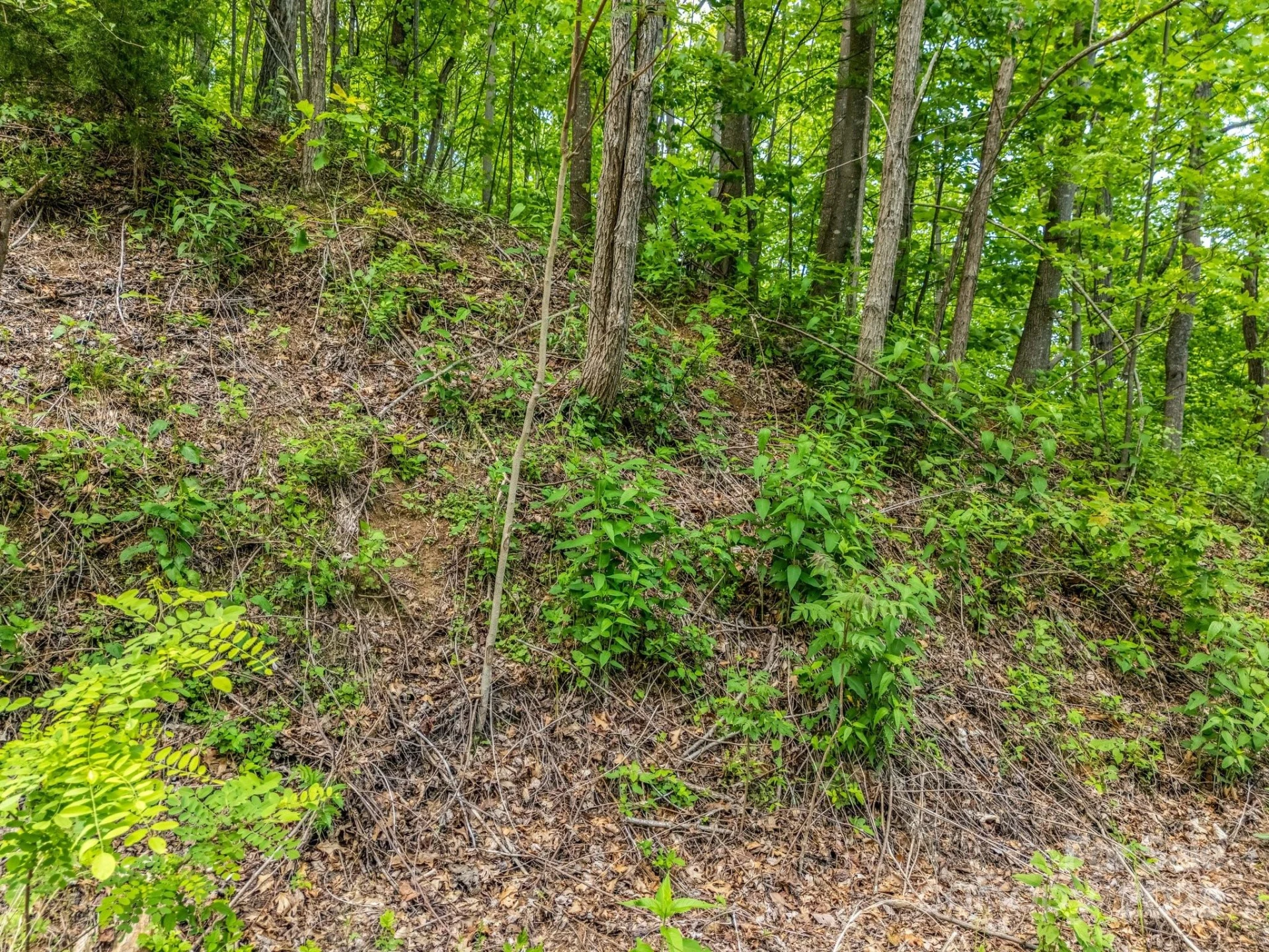 0 Ragans Pointe #31 - Photo 3