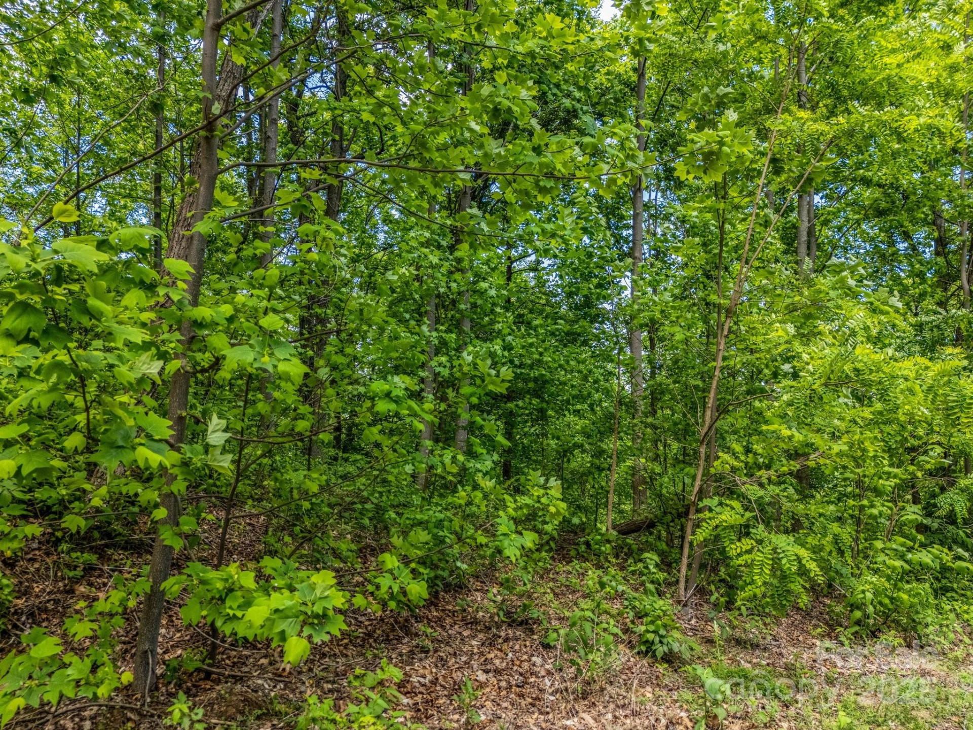 0 Ragans Pointe #31 - Photo 4