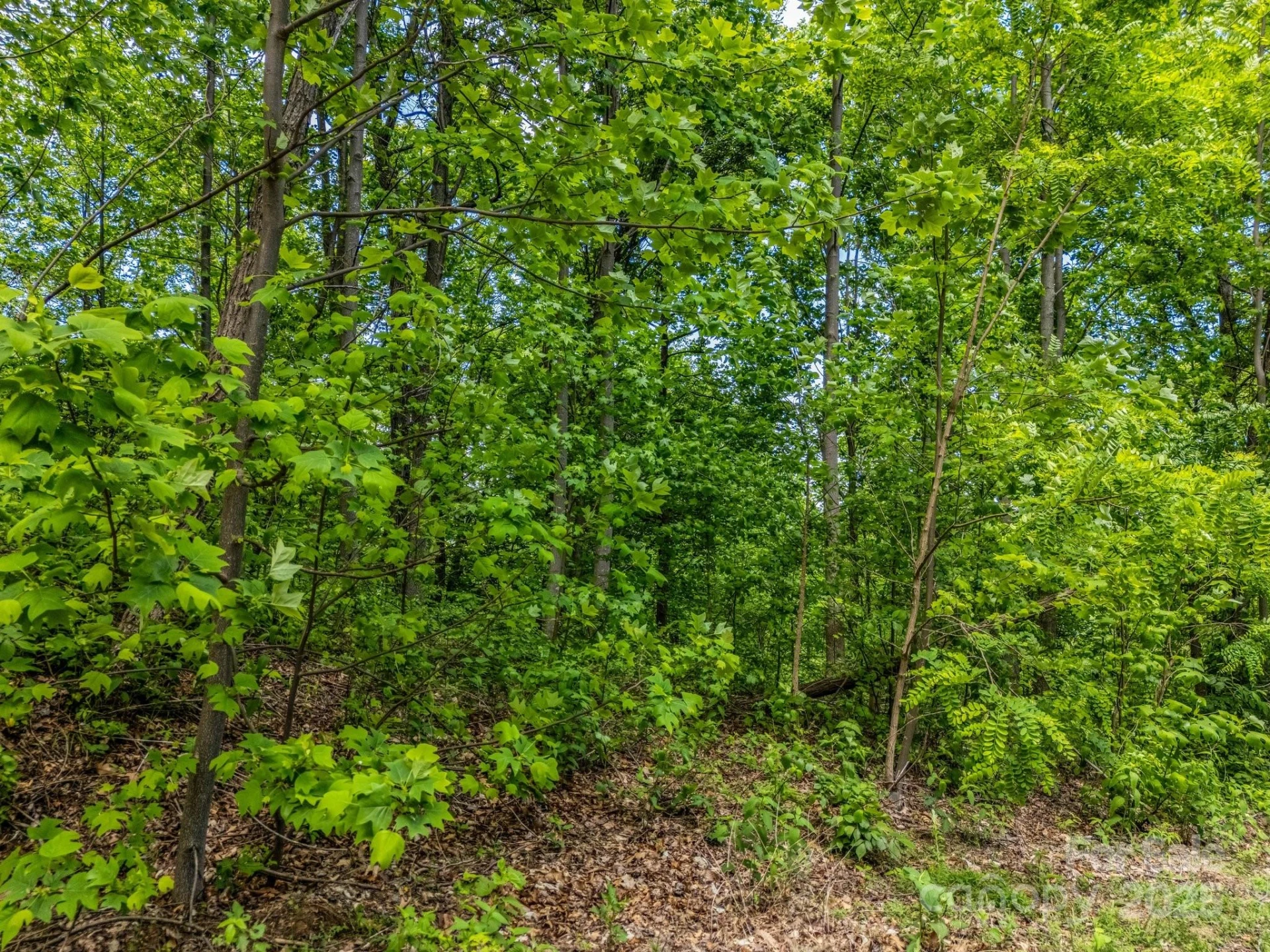 0 Ragans Pointe #31 - Photo 4