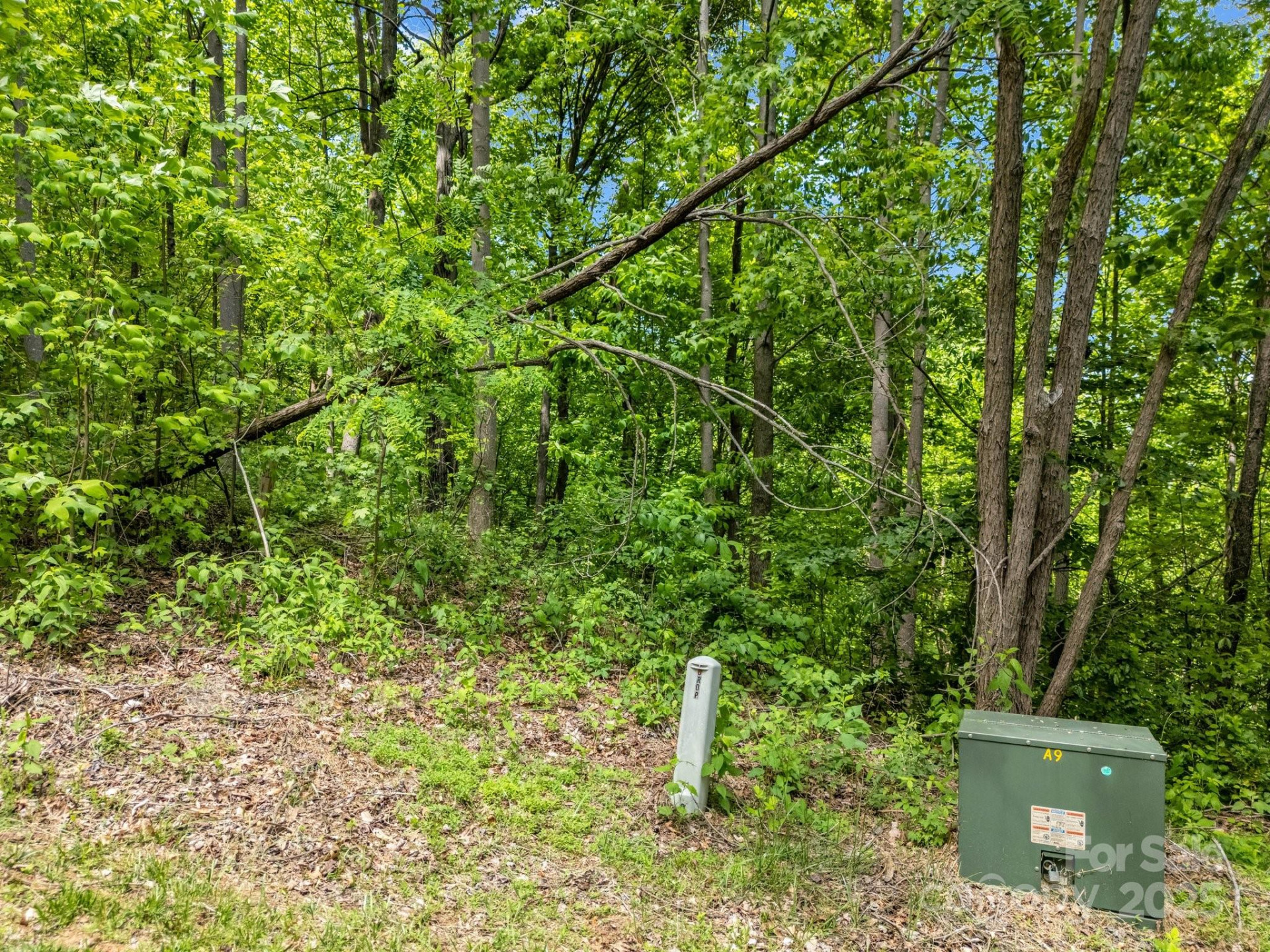 0 Ragans Pointe #31 - Photo 5