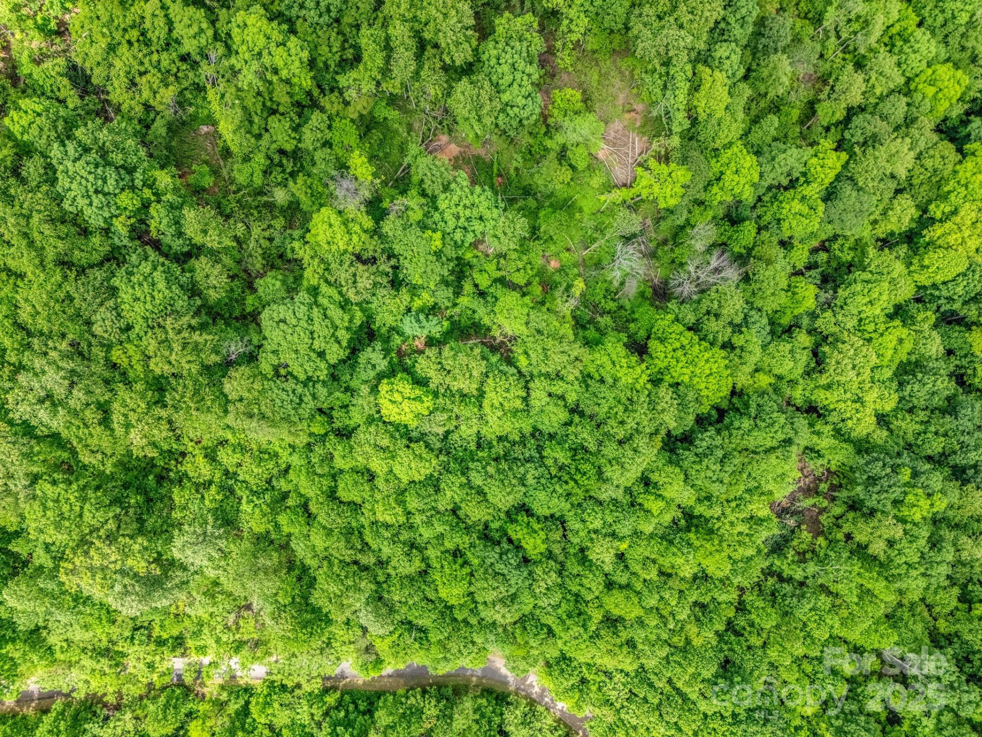 0 Ragans Pointe #31 - Photo 10