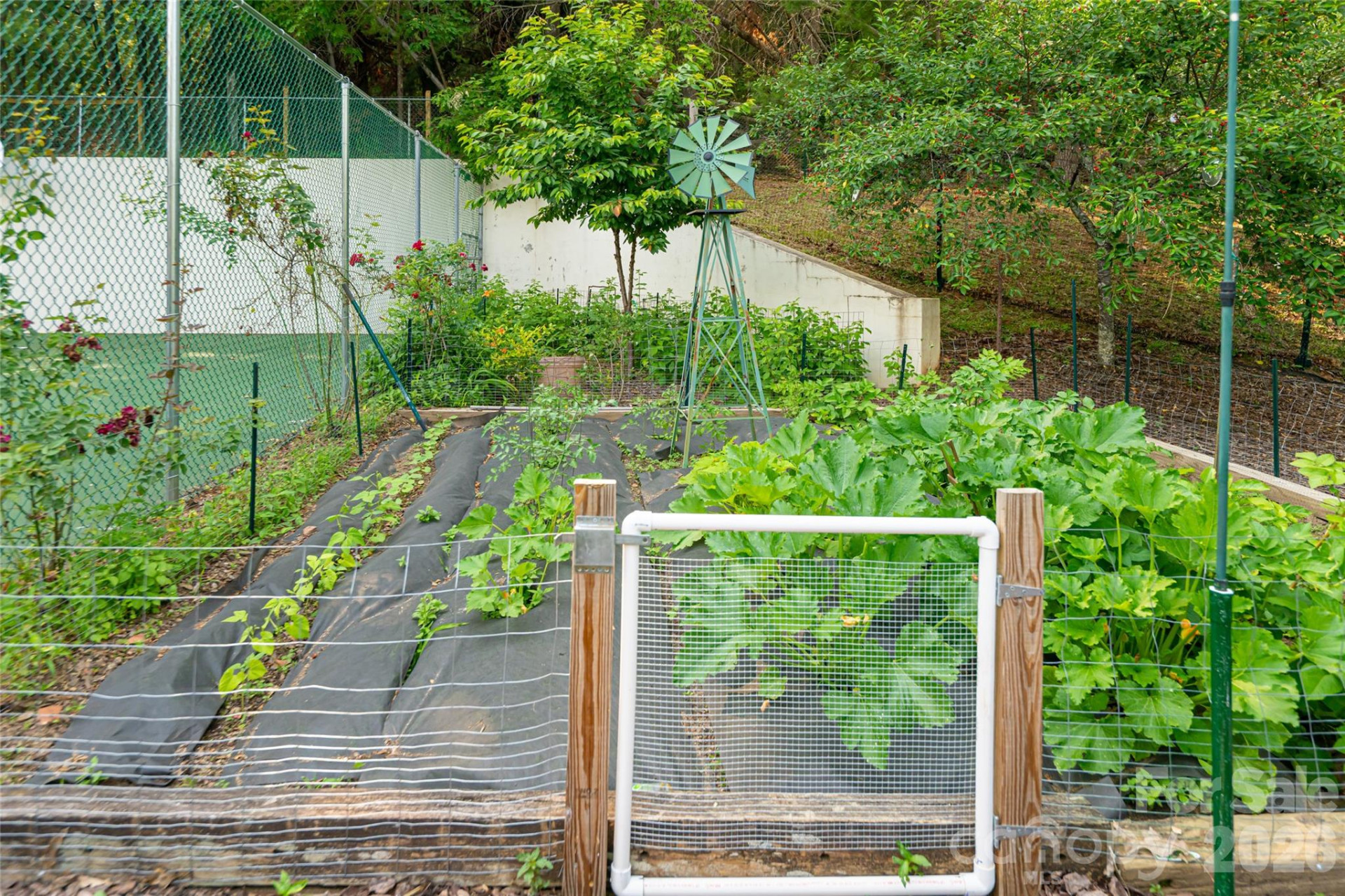 69 Forest Road - Photo 43