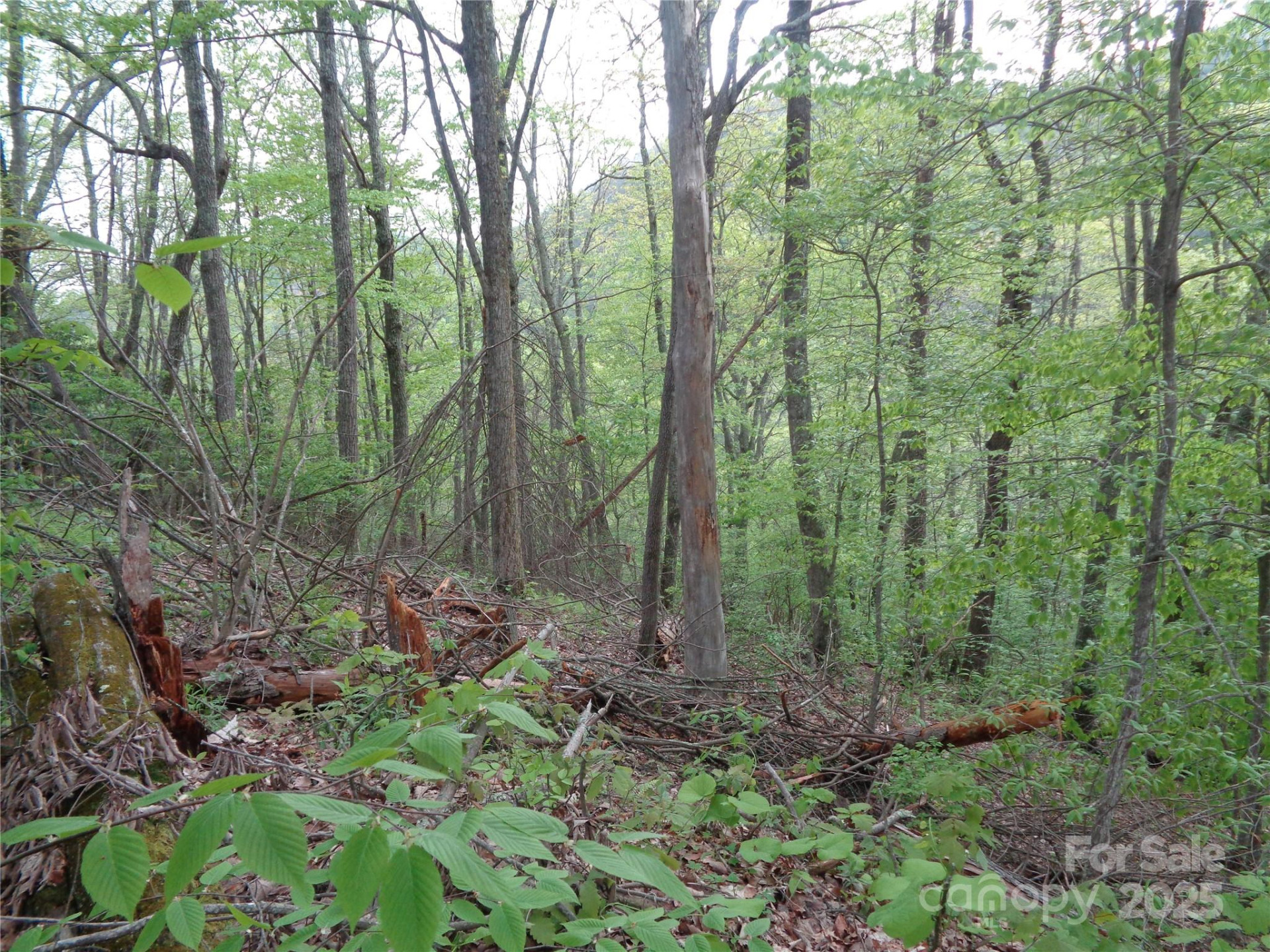 00 Promiseland Road - Photo 2