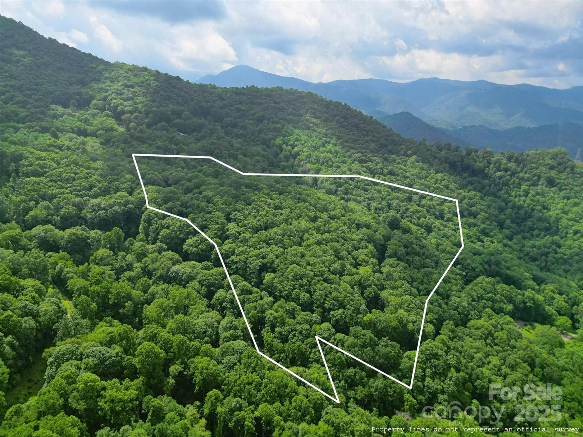 00 Promiseland Road - Photo 11