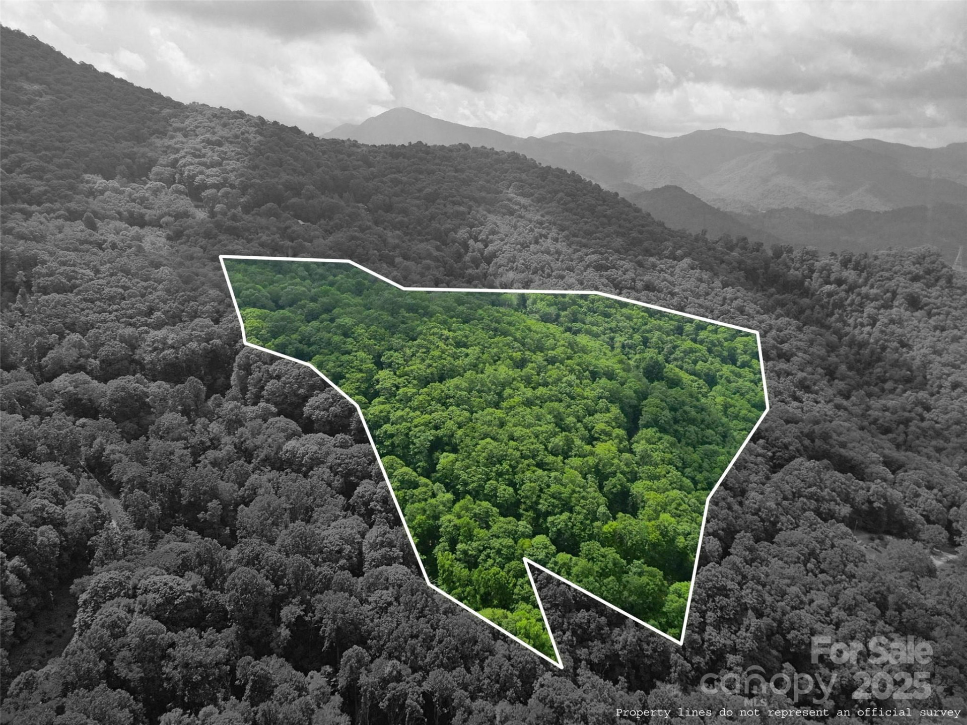 00 Promiseland Road - Photo 12